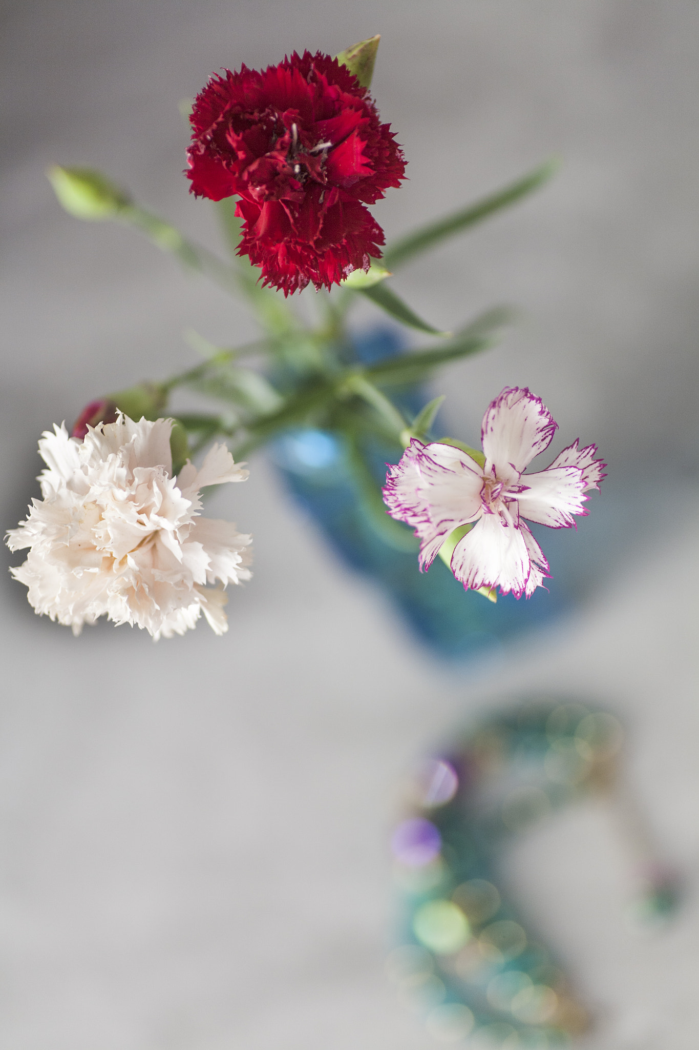 Canon EOS 5D + Tamron SP AF 90mm F2.8 Di Macro sample photo. Carnations on the vase photography