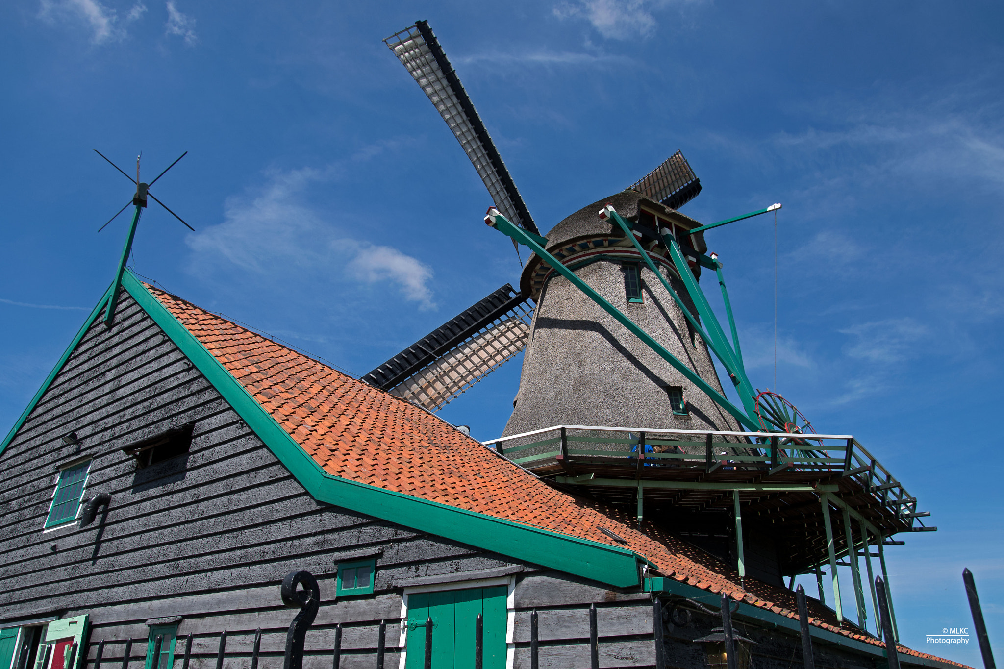 Nikon D500 sample photo. Spinning in the wind photography