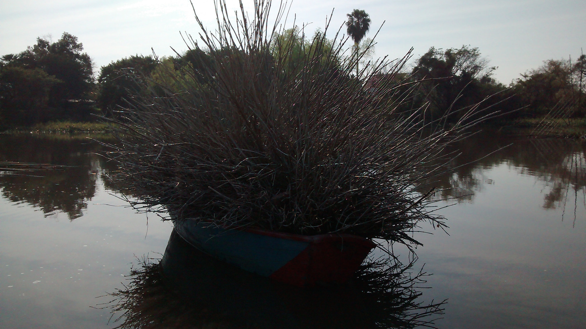 Motorola Moto E (1st Gen) sample photo. Bote de ramas photography
