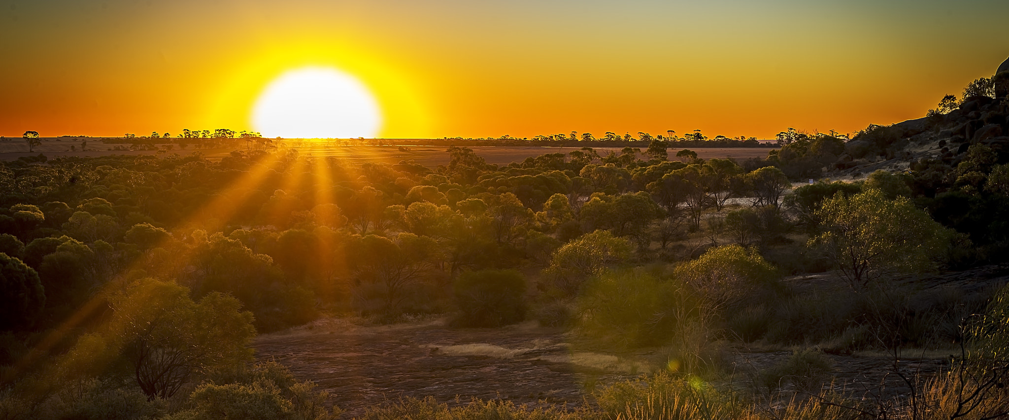 Nikon D4 + Nikon AF-S Nikkor 50mm F1.8G sample photo. "sunset desert" photography