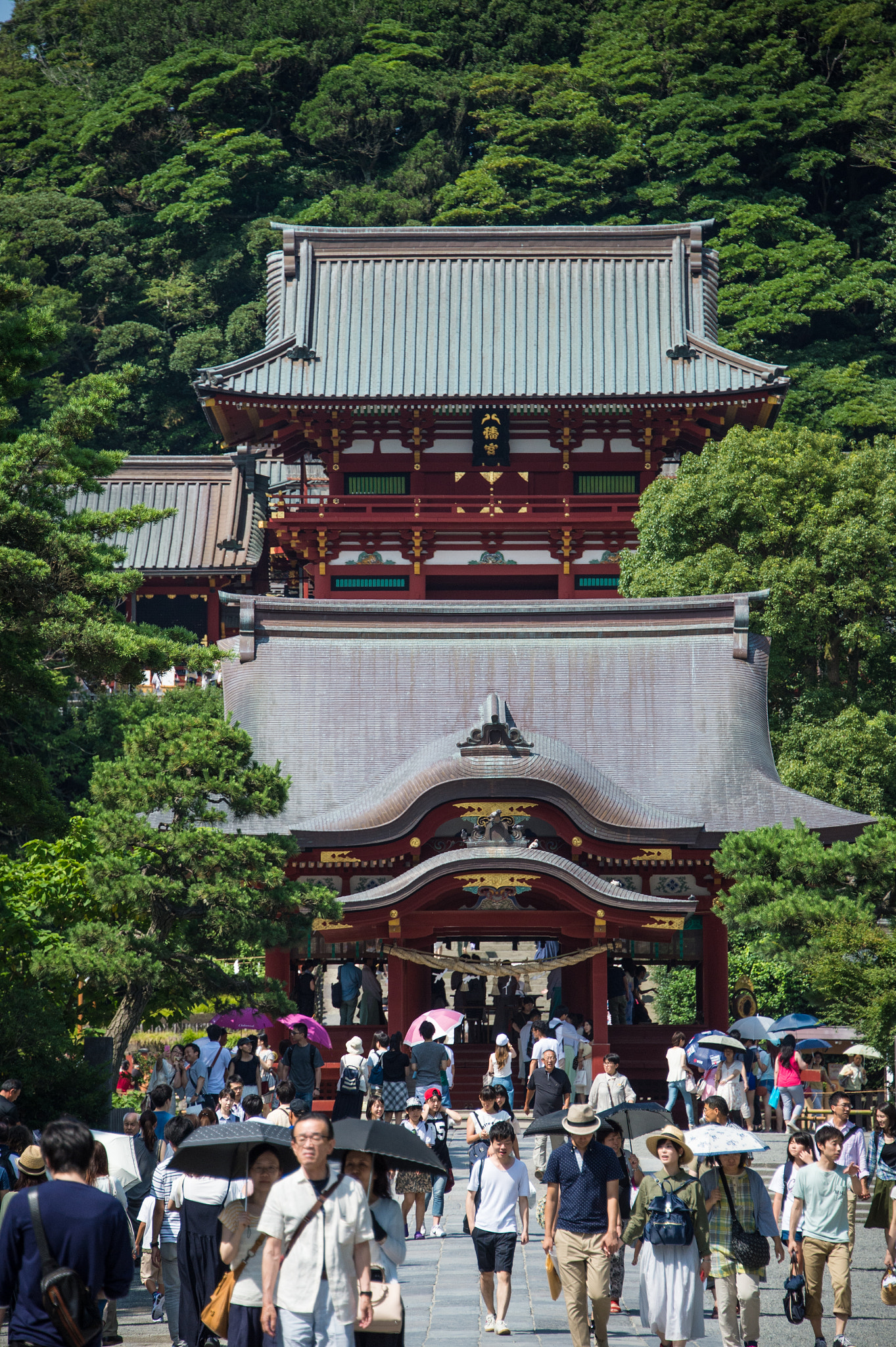 Nikon Df sample photo. Kamakura 鎌倉 photography