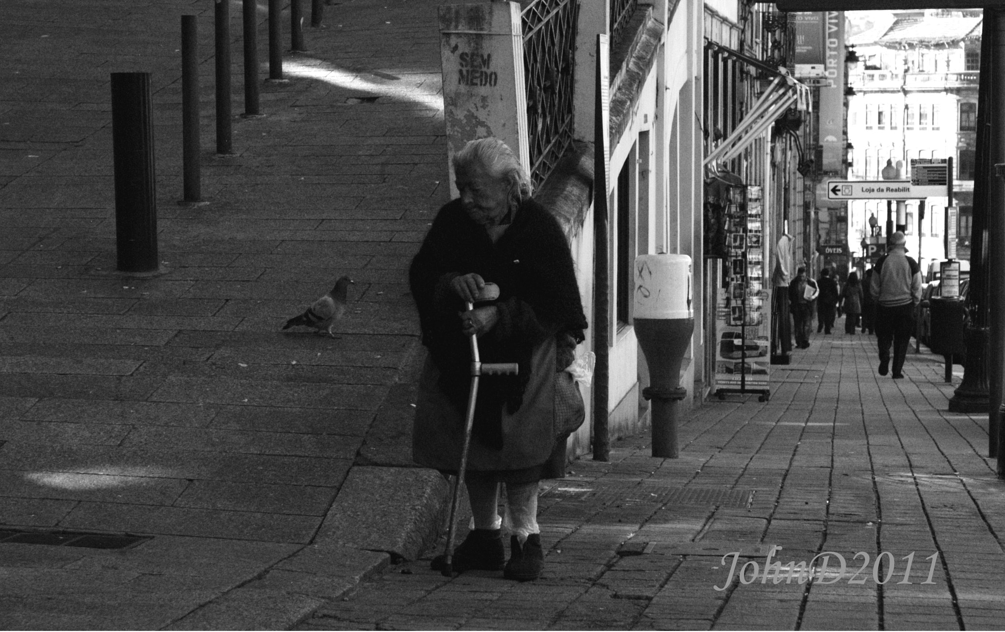 Nikon D100 sample photo. Elderly lady with pigeon photography