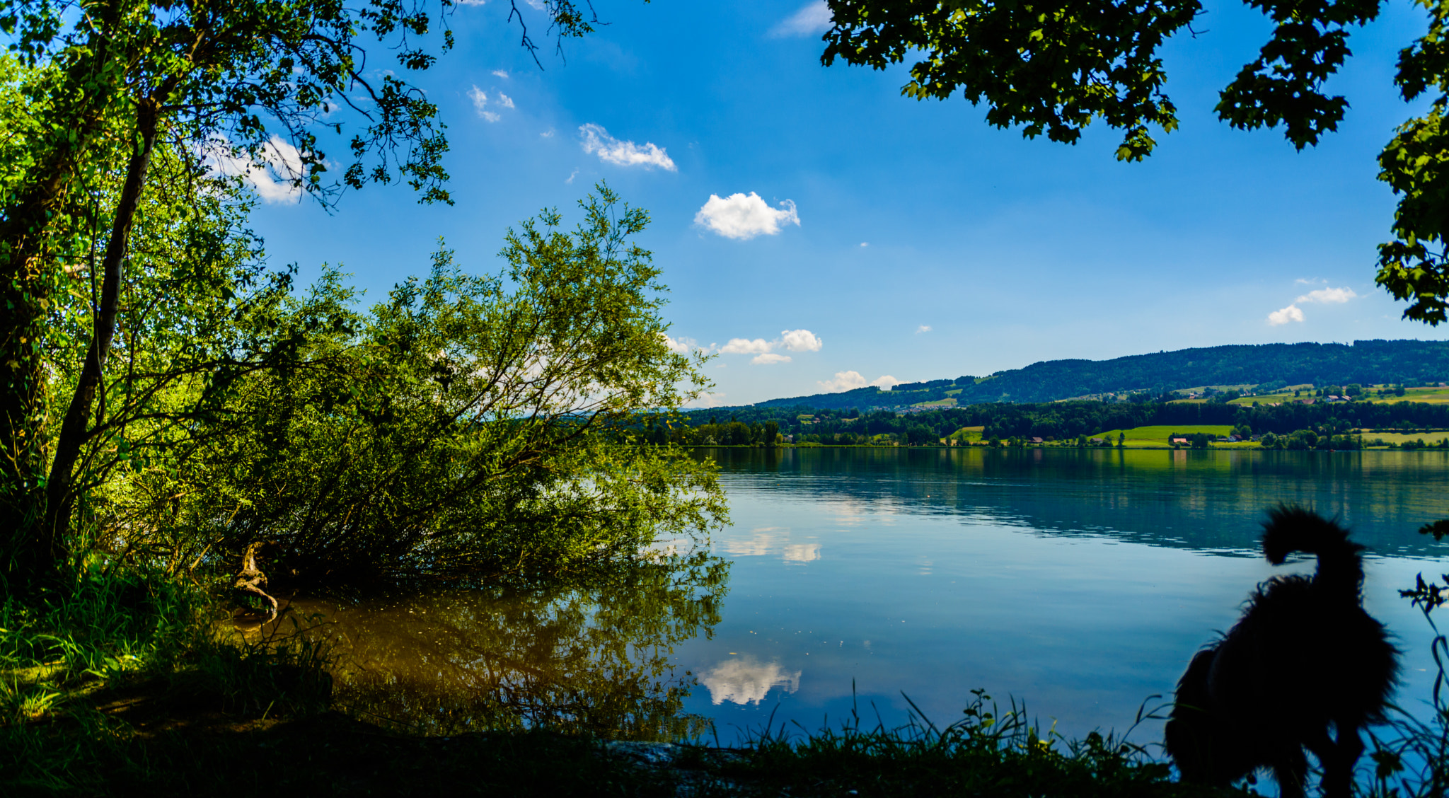 Nikon D5200 + Sigma 18-250mm F3.5-6.3 DC OS HSM sample photo. Greifensee photography