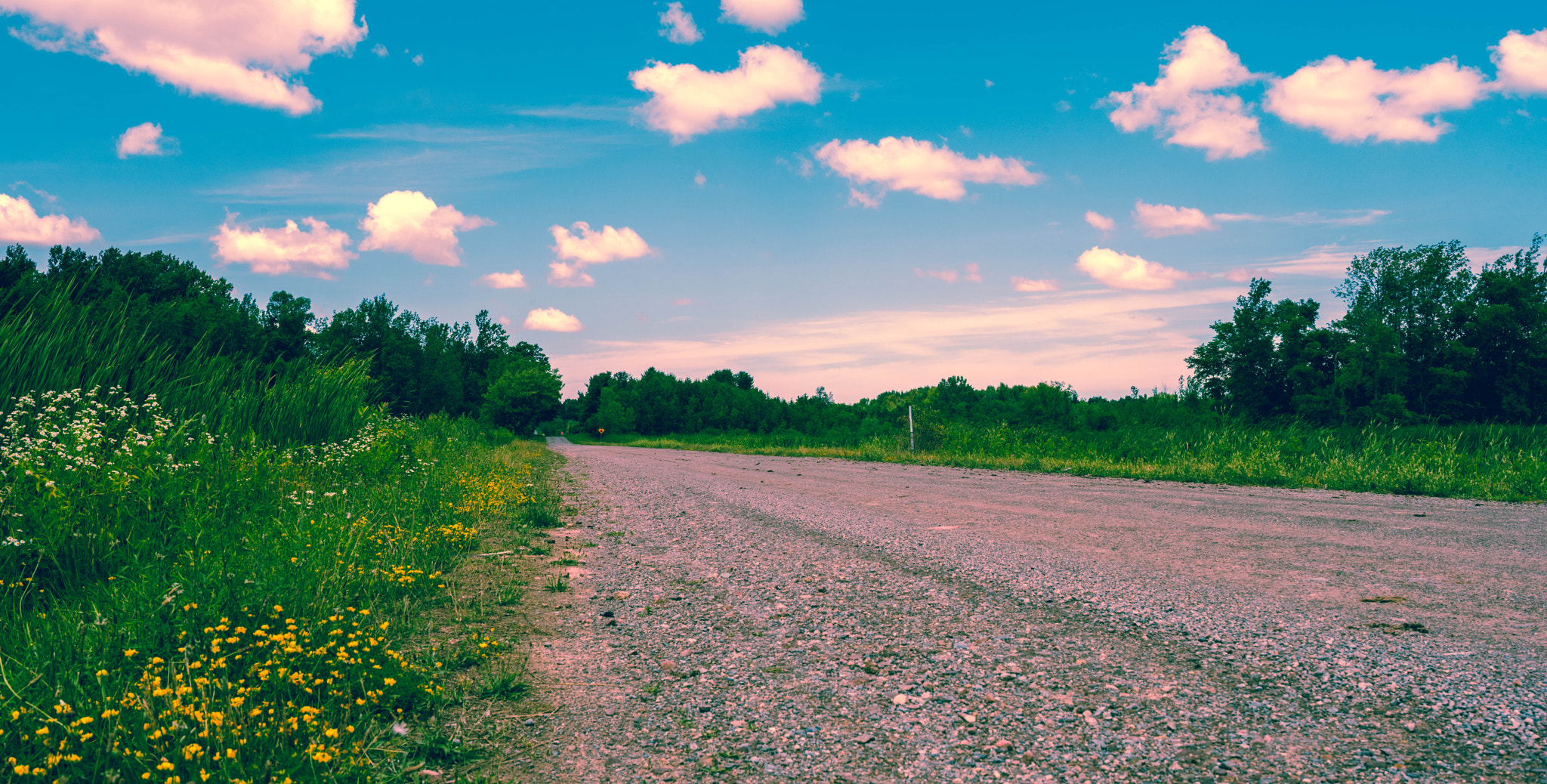 Nikon D750 + Samyang 35mm F1.4 AS UMC sample photo. Iroquois national wildlife refuge #6 photography