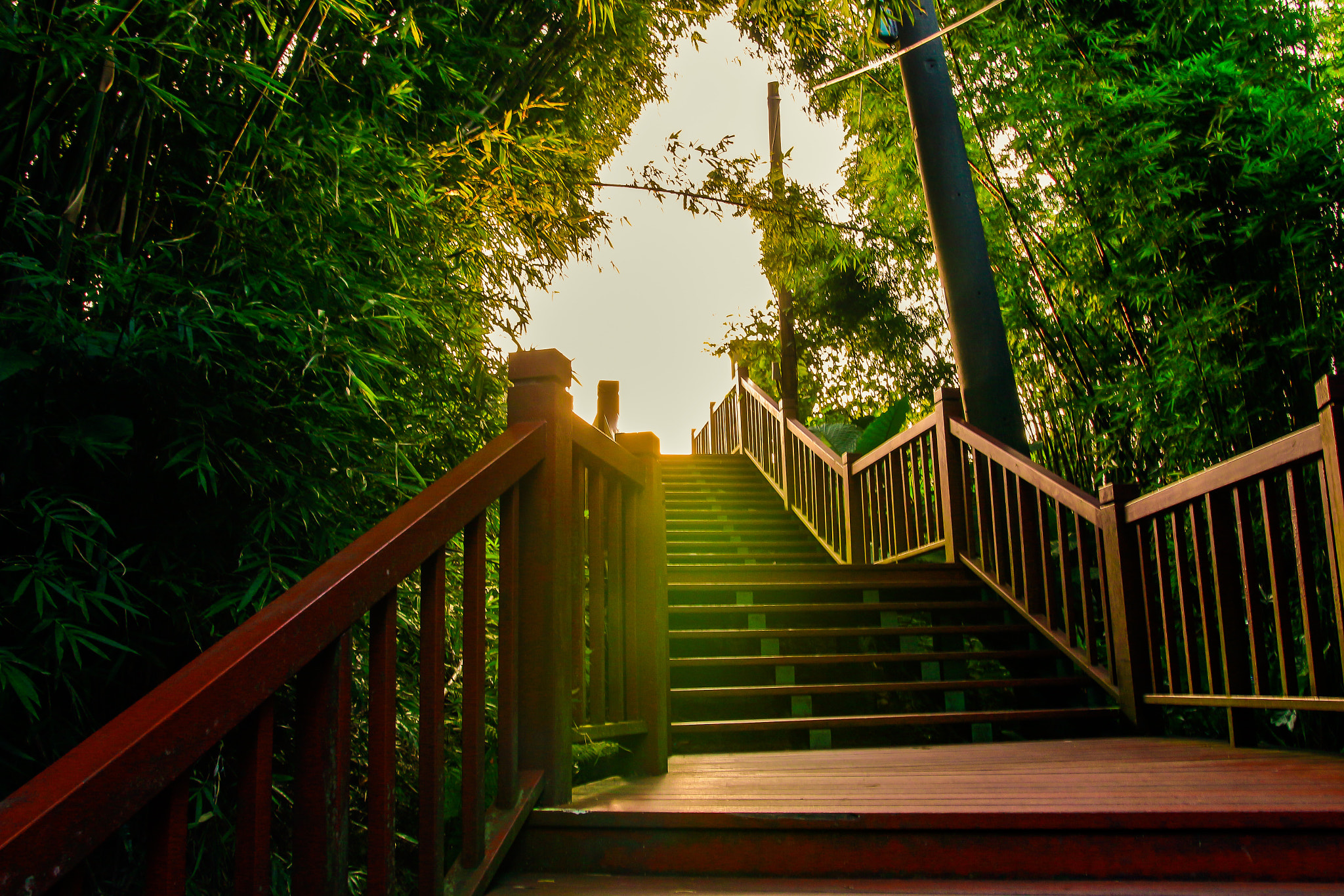 Sigma 18-35mm f/1.8 DC HSM sample photo. Export photography