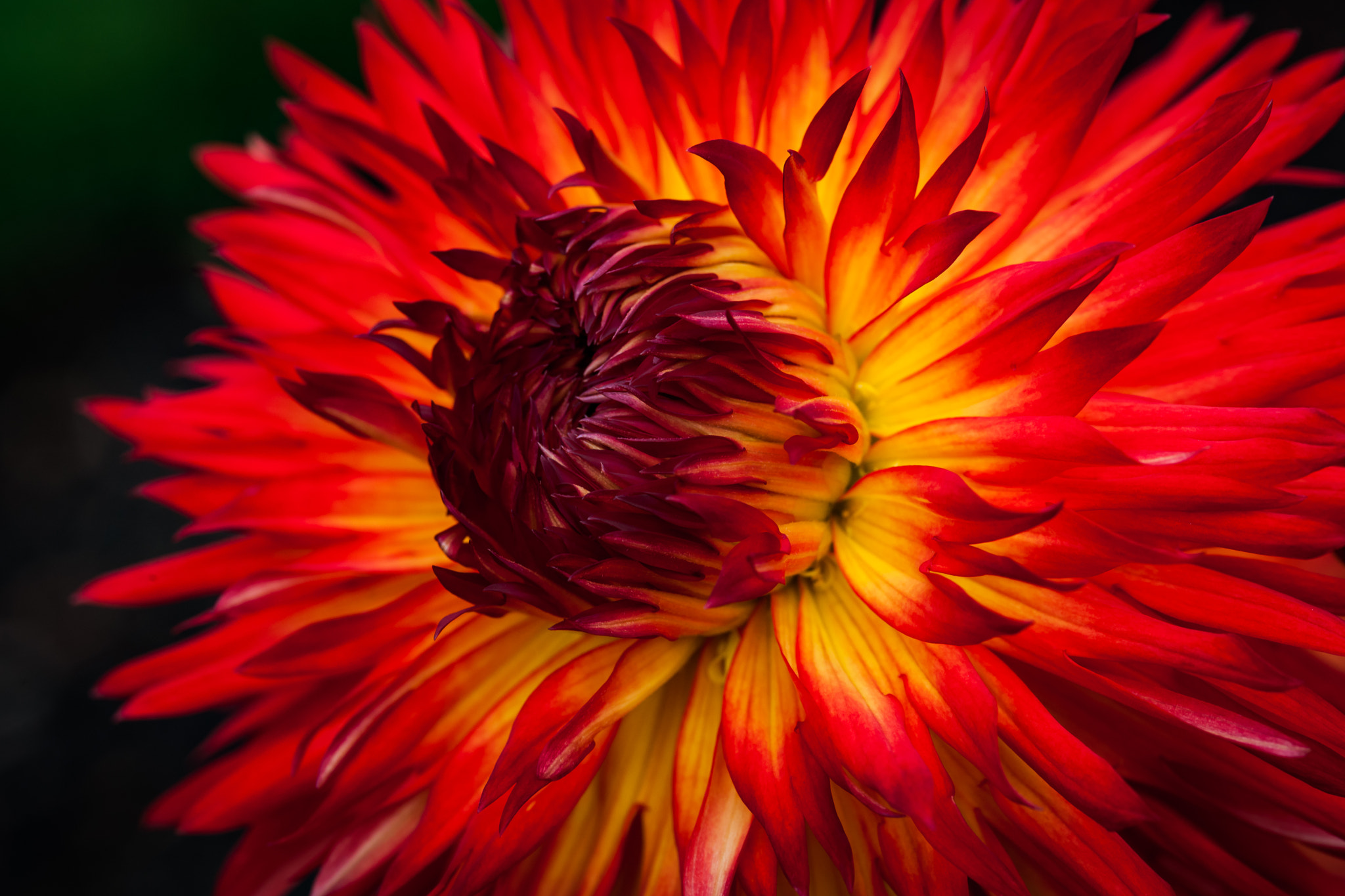 Nikon D3X sample photo. Explosion photography