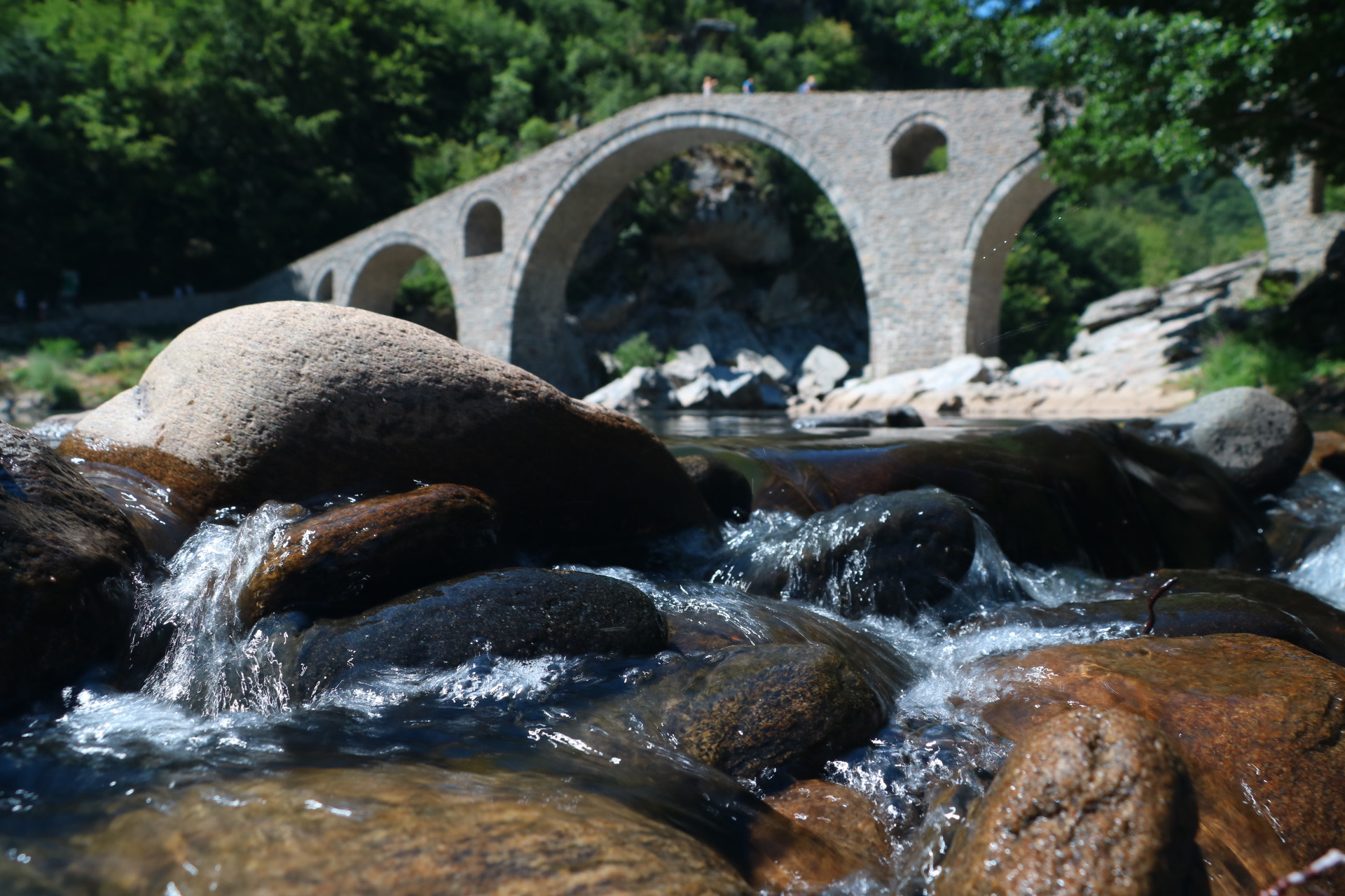 Canon EOS 750D (EOS Rebel T6i / EOS Kiss X8i) sample photo. River arda photography