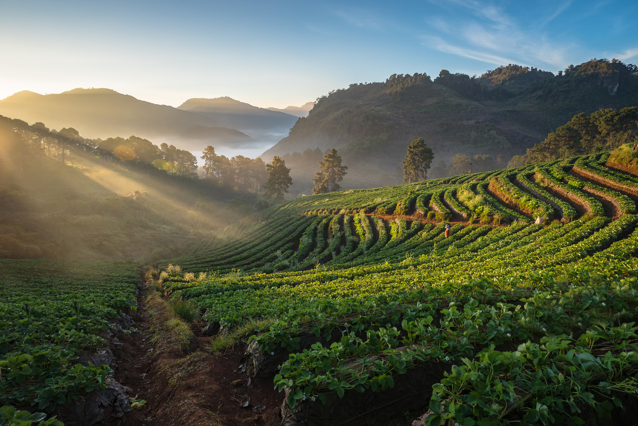 Nikon D750 + Nikon AF Nikkor 20mm F2.8D sample photo. Nature is my home photography