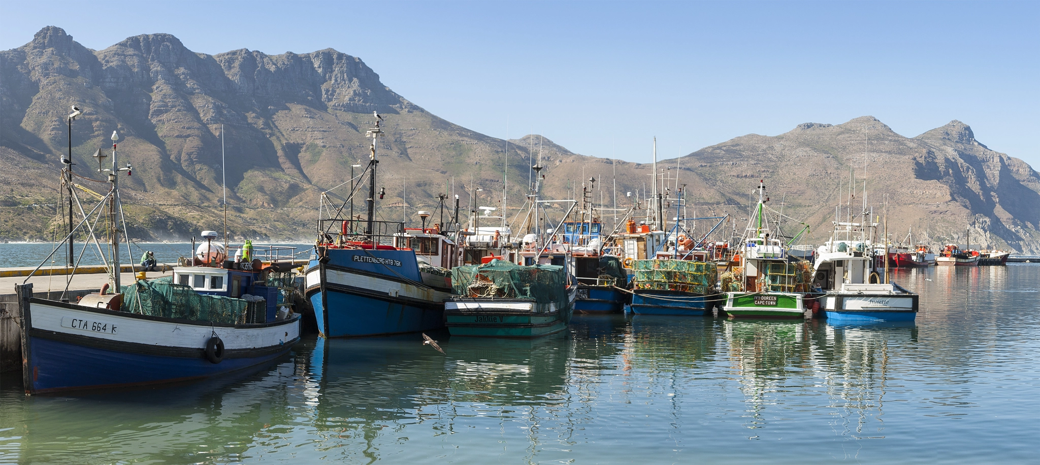 Canon EOS 450D (EOS Rebel XSi / EOS Kiss X2) sample photo. Hout bay harbour panorama photography