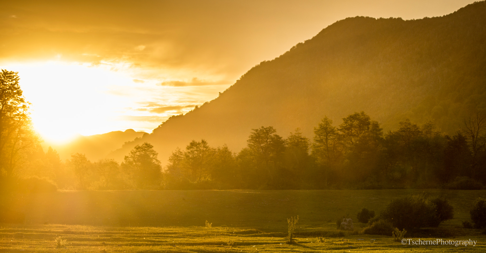 Sony SLT-A77 + Sony 70-400mm F4-5.6 G SSM sample photo. -the evening process- photography