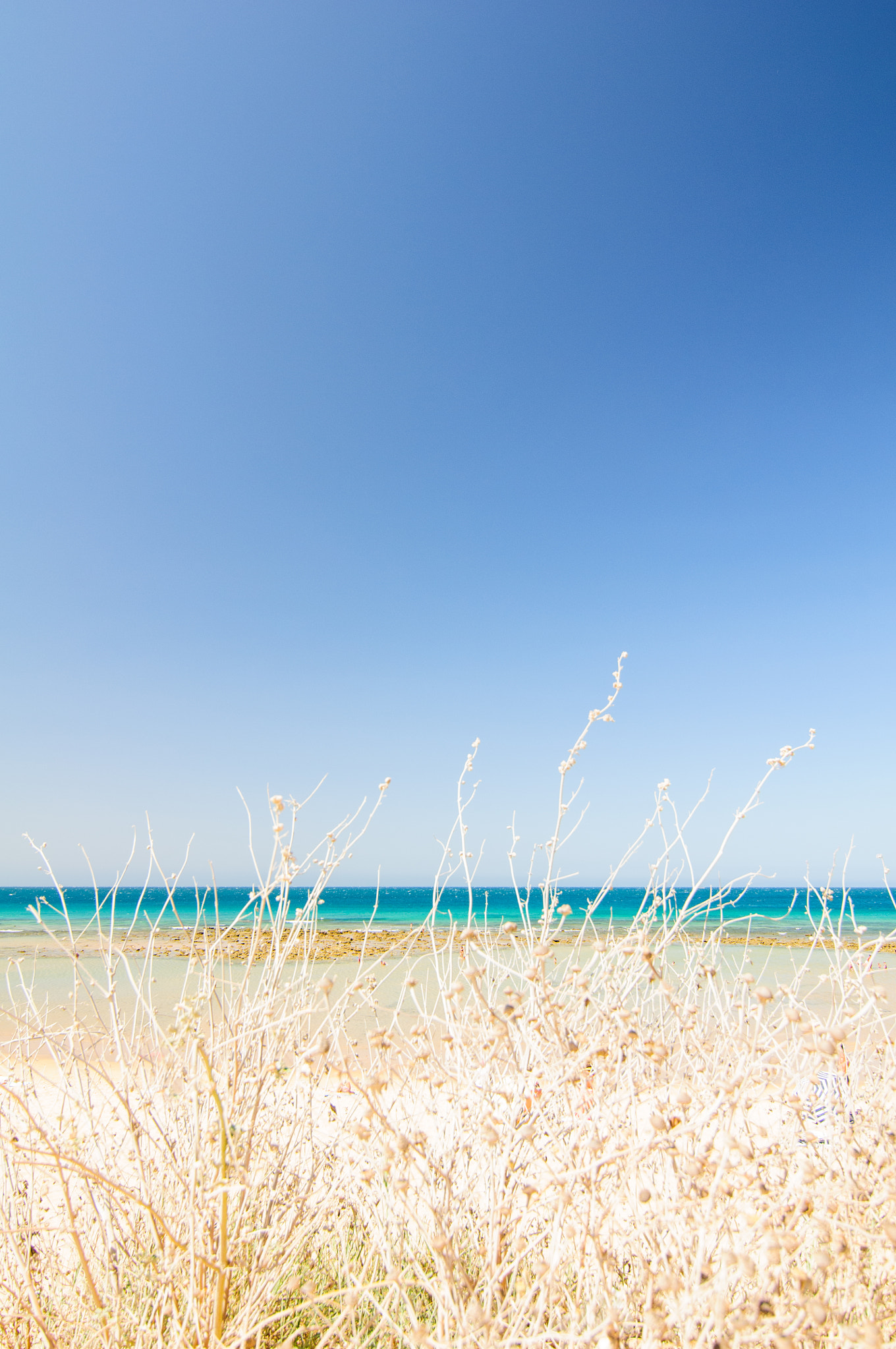 Nikon D300S sample photo. Relax photography