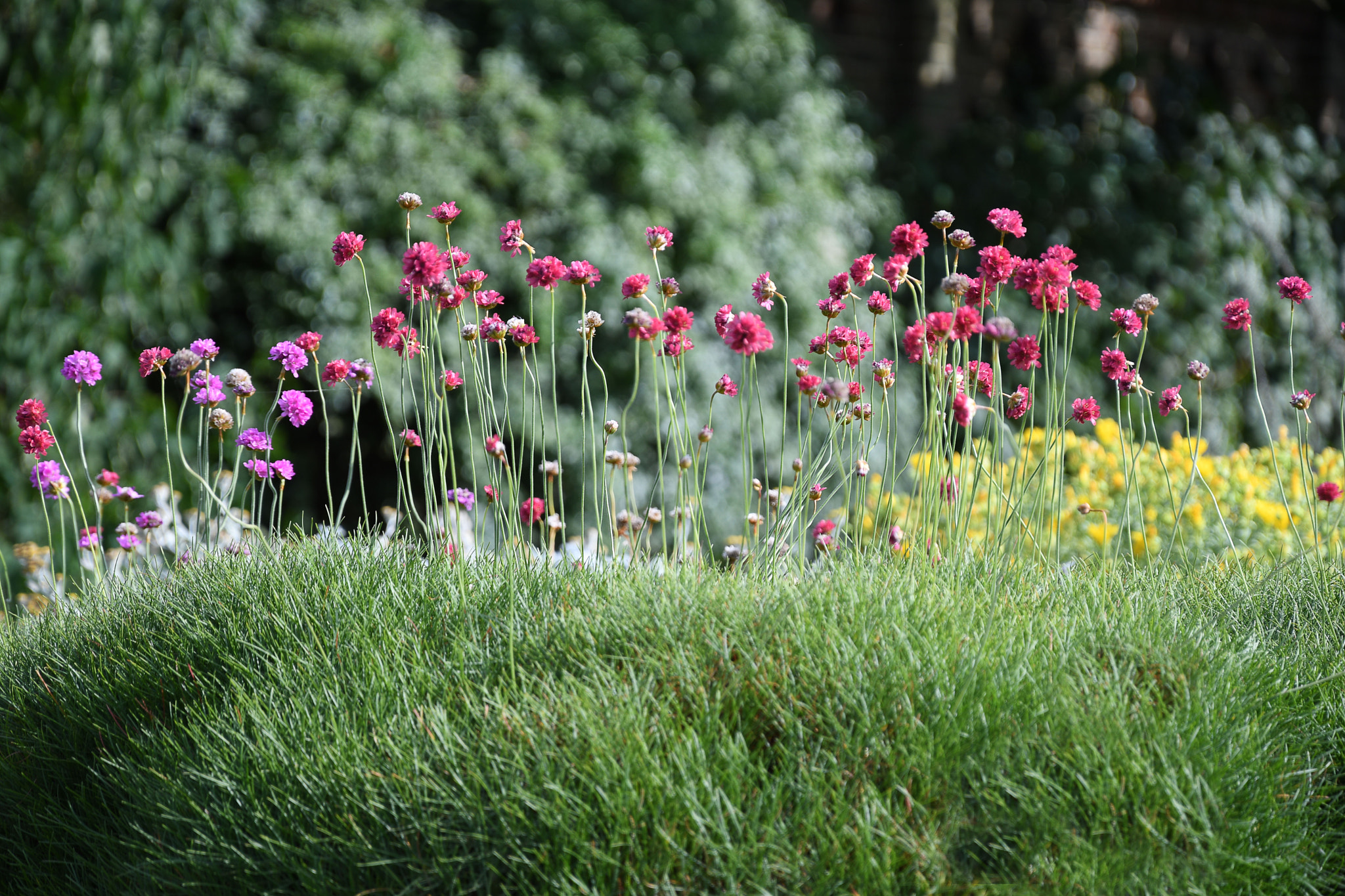 Nikon D500 sample photo. Happy sight! photography