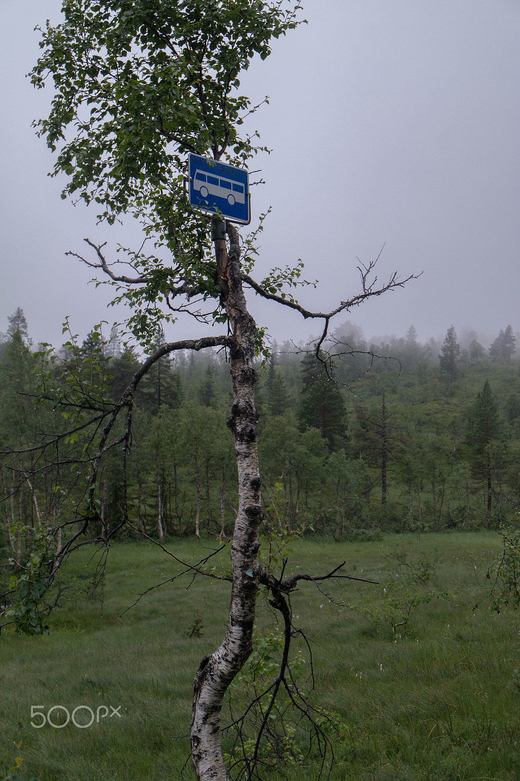 Samsung NX300M sample photo. Bus stop in the ulvik backlands photography