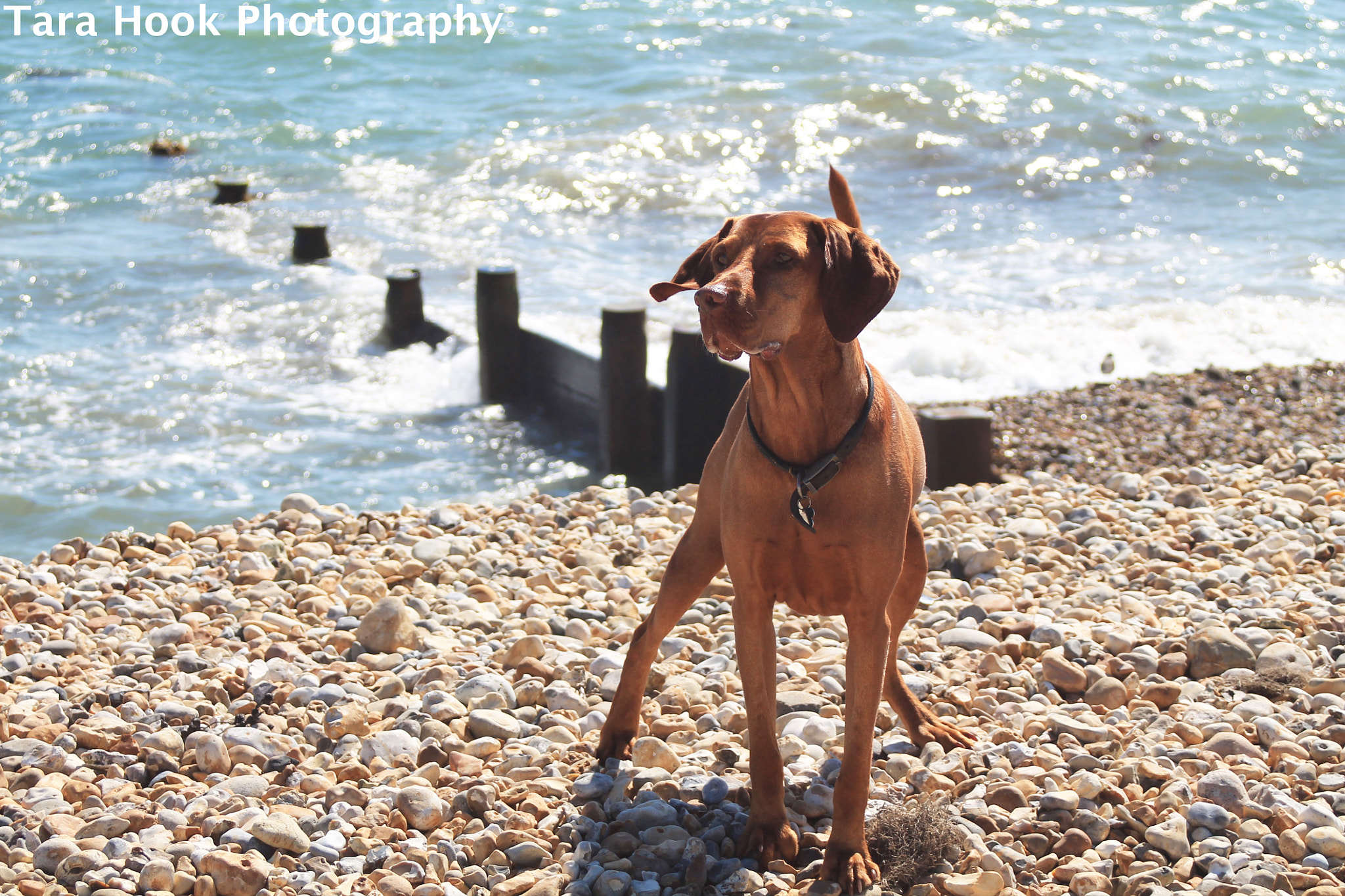 Canon EF 28-80mm f/3.5-5.6 sample photo. At the beach photography