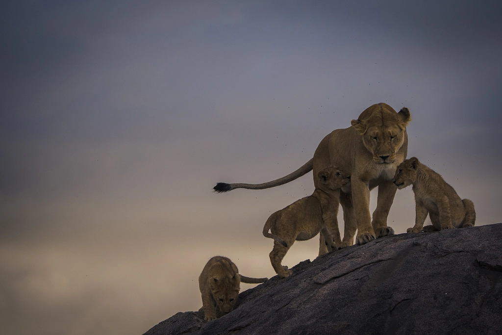 Quiet by Chris Fischer on 500px.com