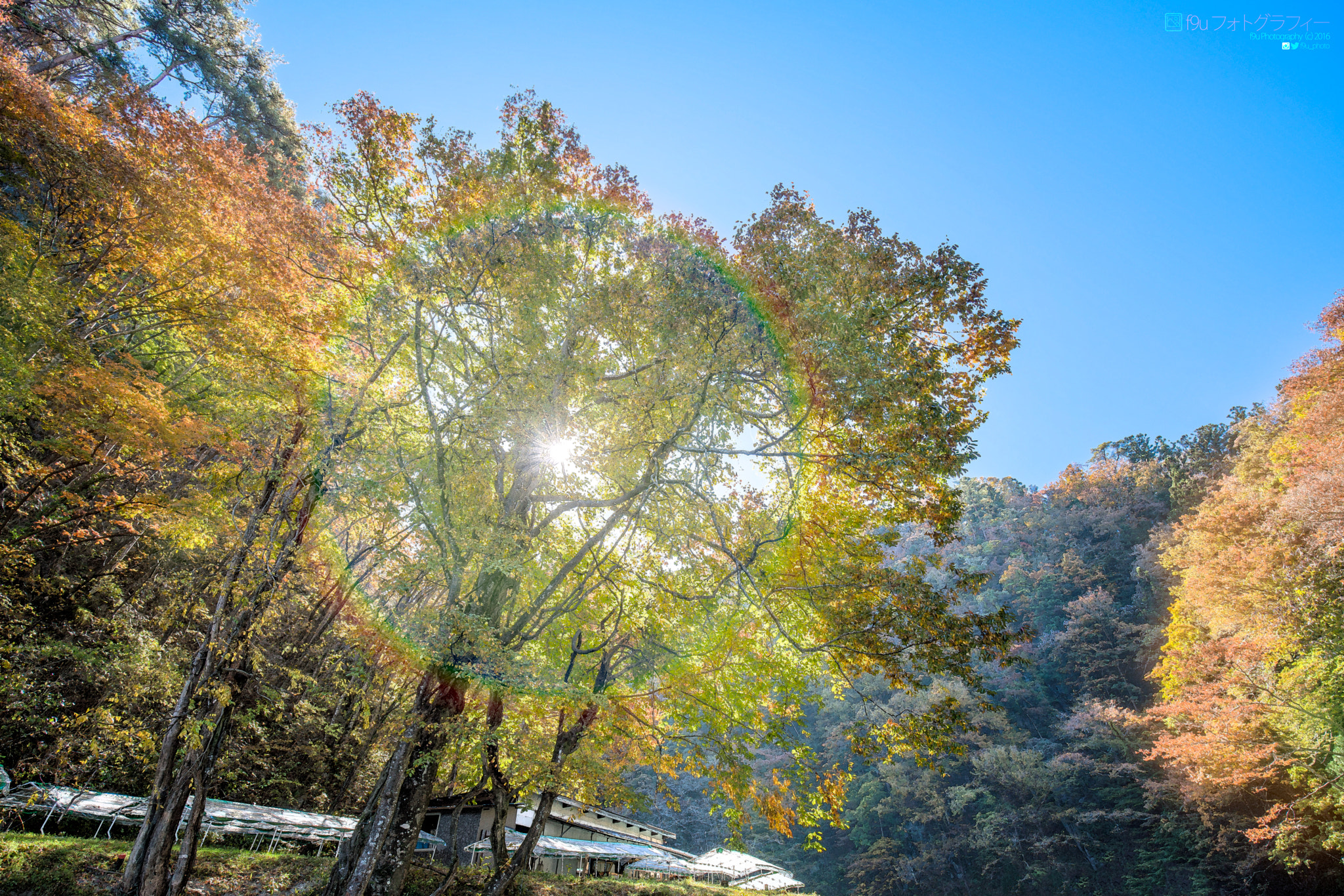 Sony a7R II + Canon EF 16-35mm F4L IS USM sample photo. Red and green photography