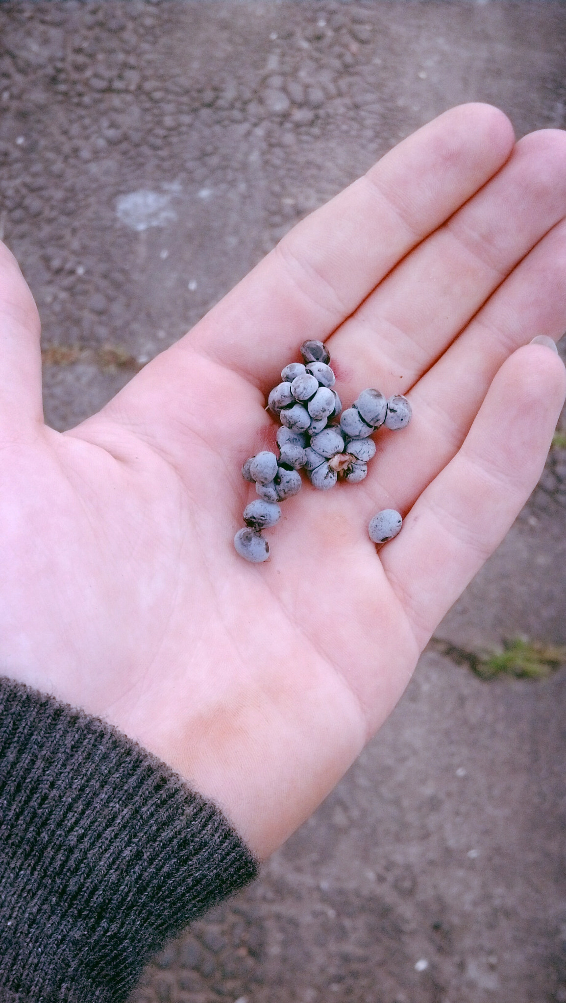 Motorola DROID RAZR sample photo