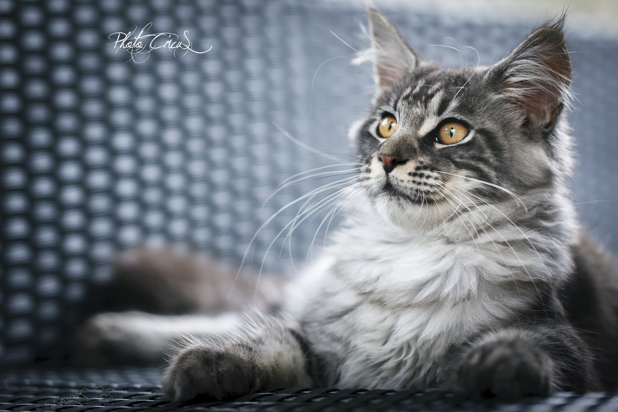 Canon EOS-1Ds Mark III sample photo. My baby 2 photography