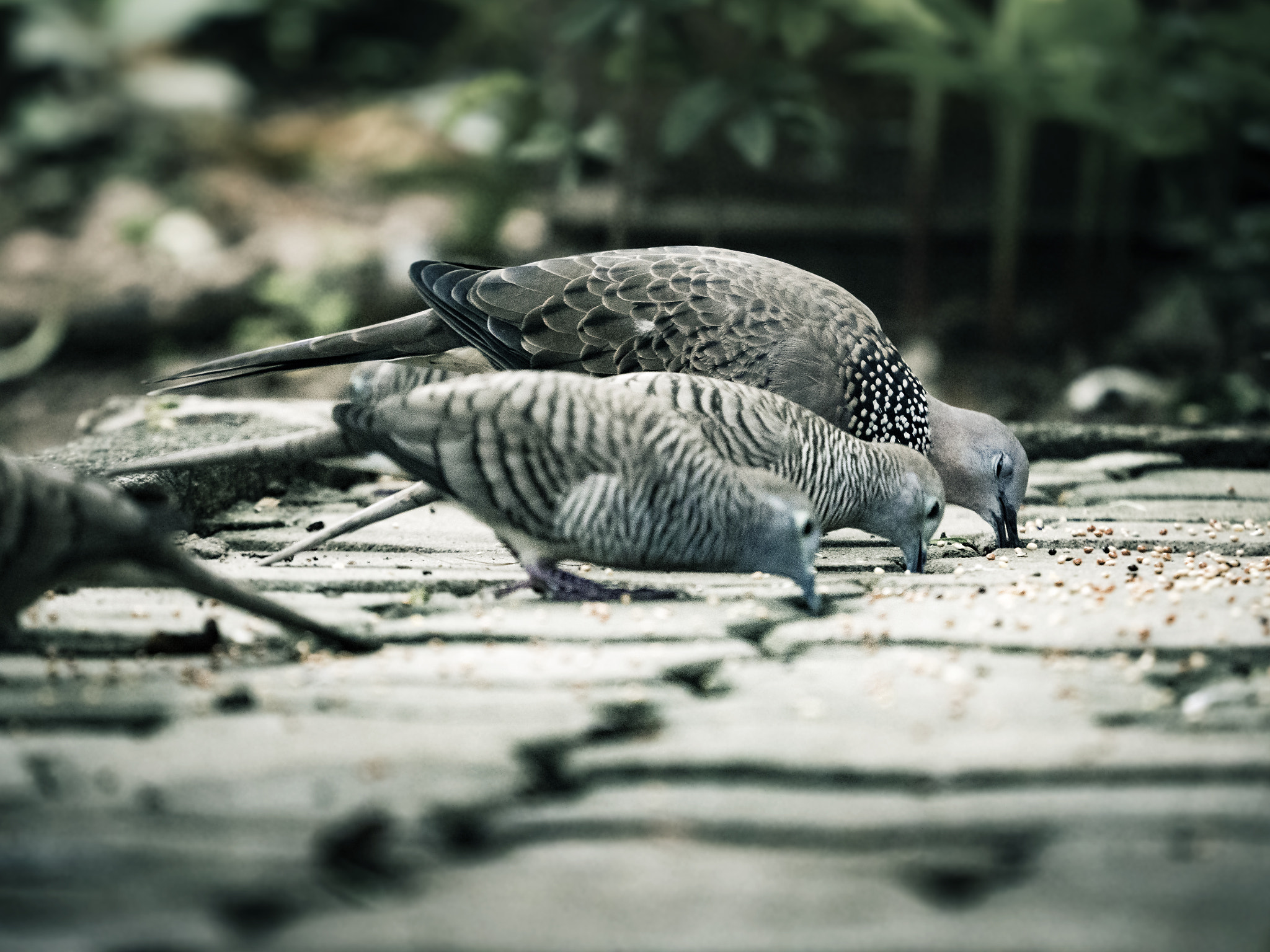 Panasonic Lumix DMC-GX8 sample photo. 3 photography