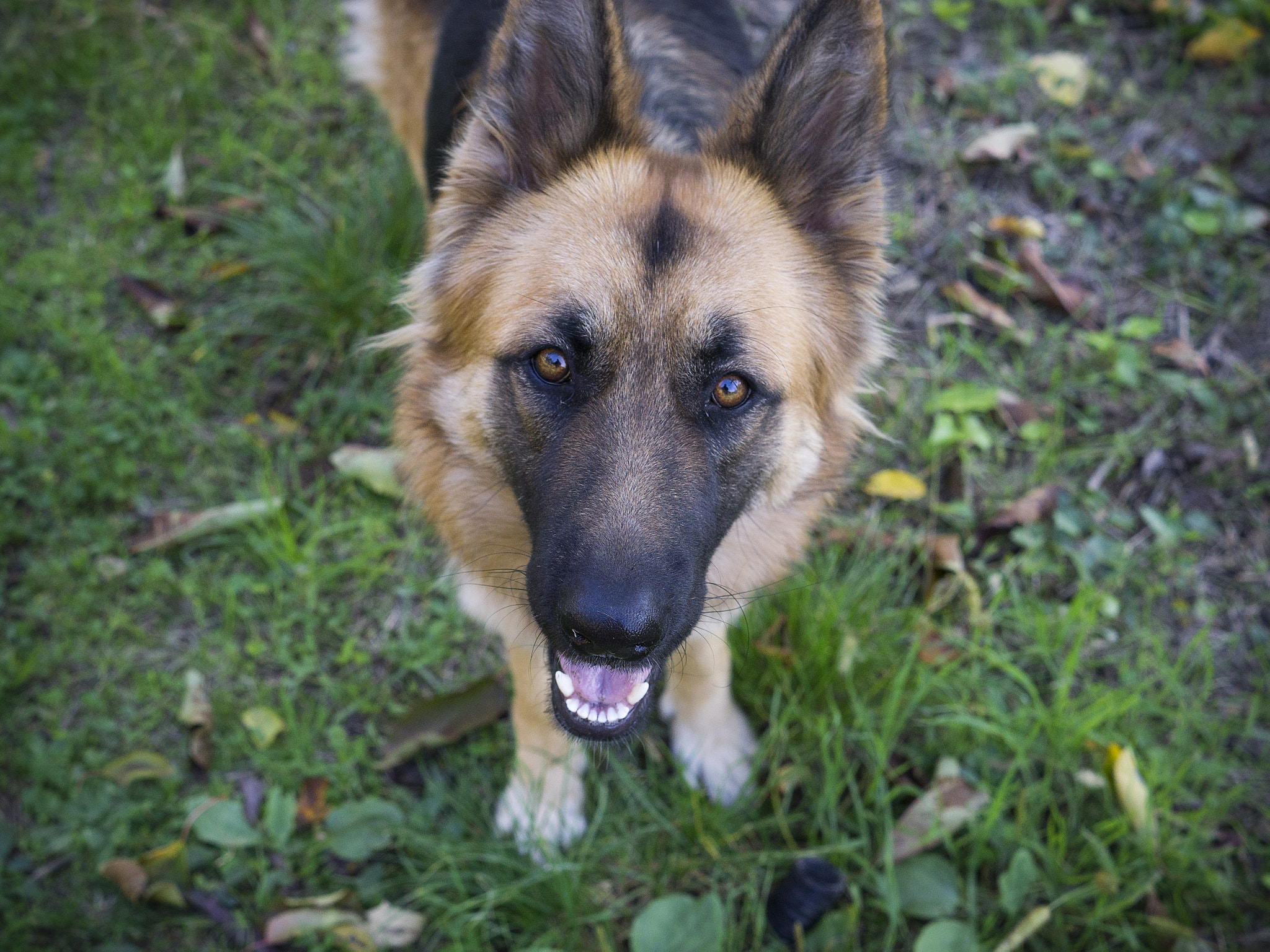 Sony FE 28mm F2 sample photo. Toska photography