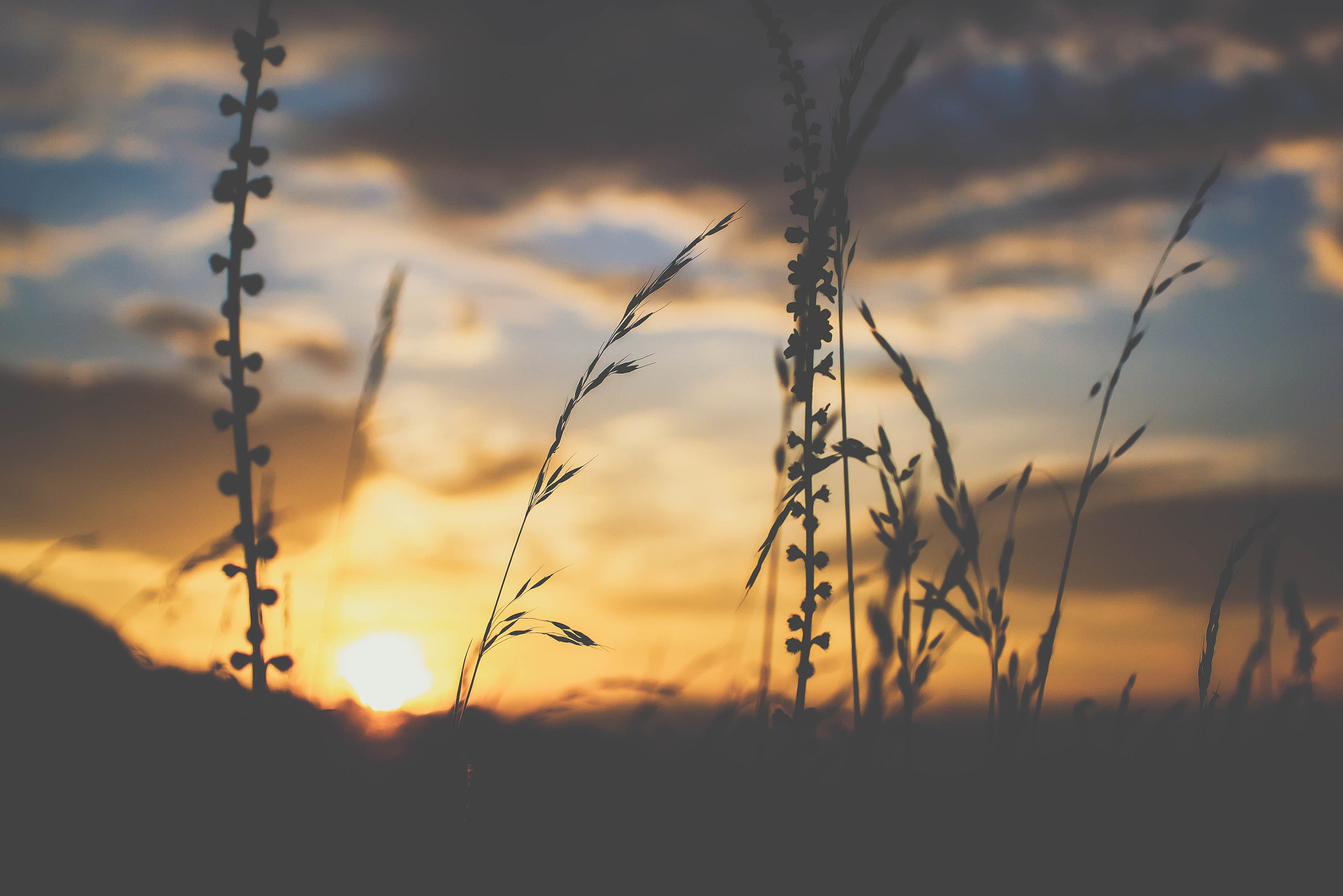 Panasonic Lumix DMC-GF6 + Sigma 30mm F2.8 DN Art sample photo. Sunset photography