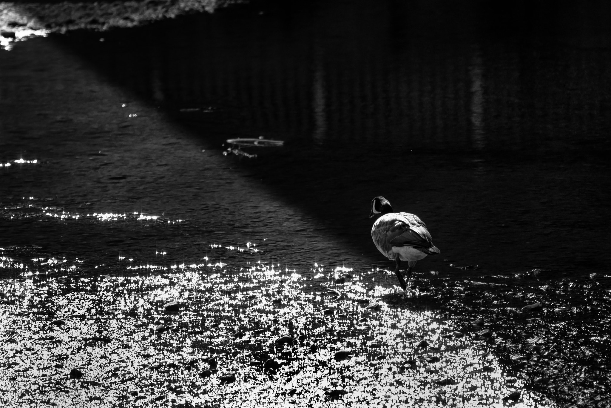 Nikon AF-S Nikkor 70-200mm F2.8G ED VR II sample photo. Because your mine i walk the line photography