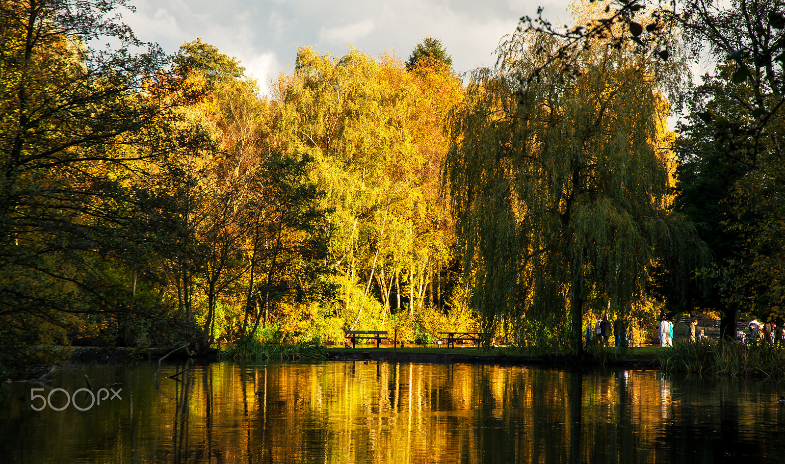 Nikon D2X sample photo. Autumn reflection photography