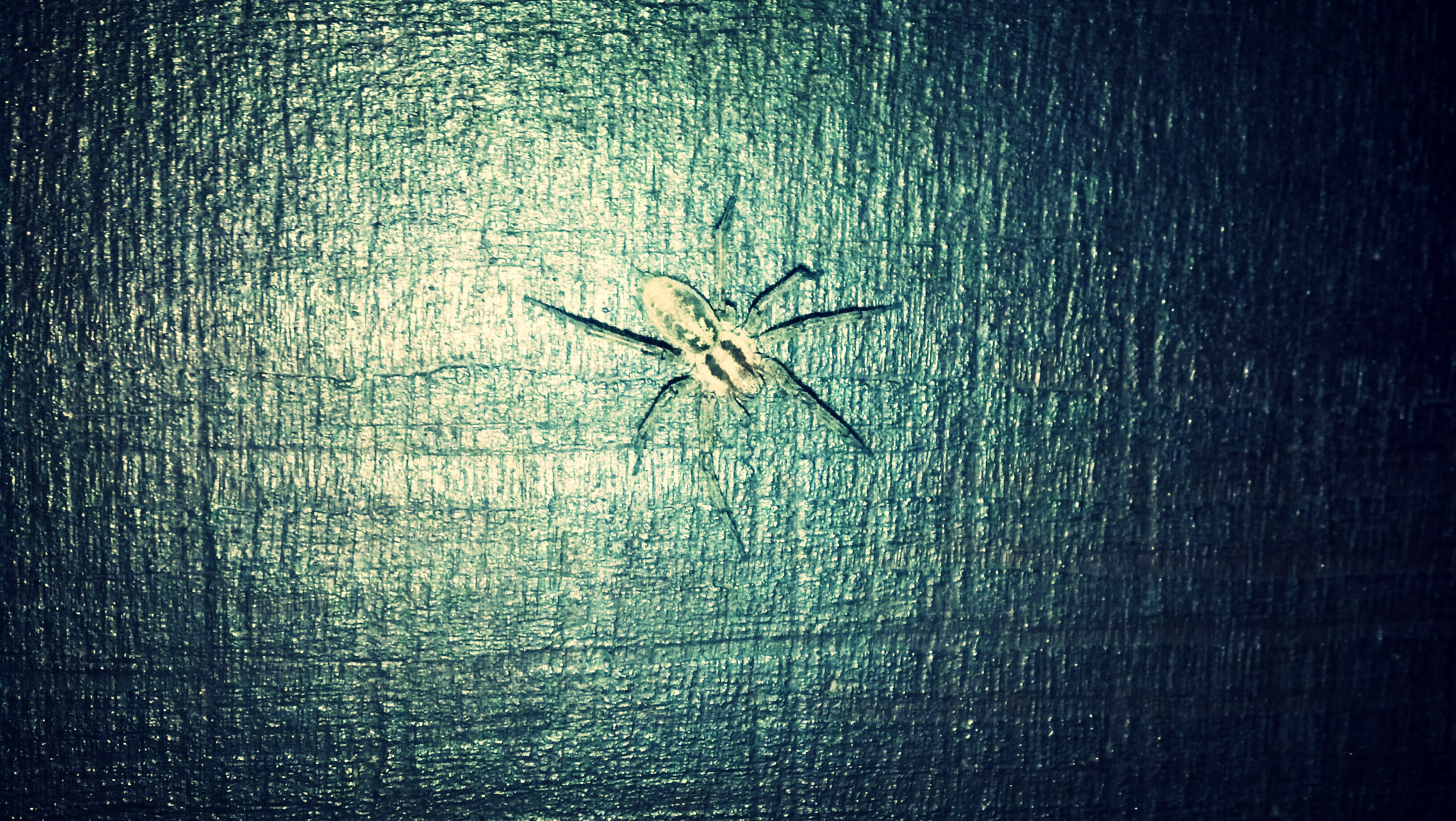 Motorola DROID RAZR sample photo