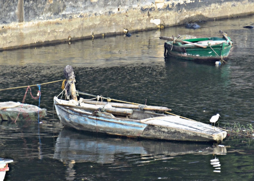 Samsung WB2200F sample photo. Waiting!? photography