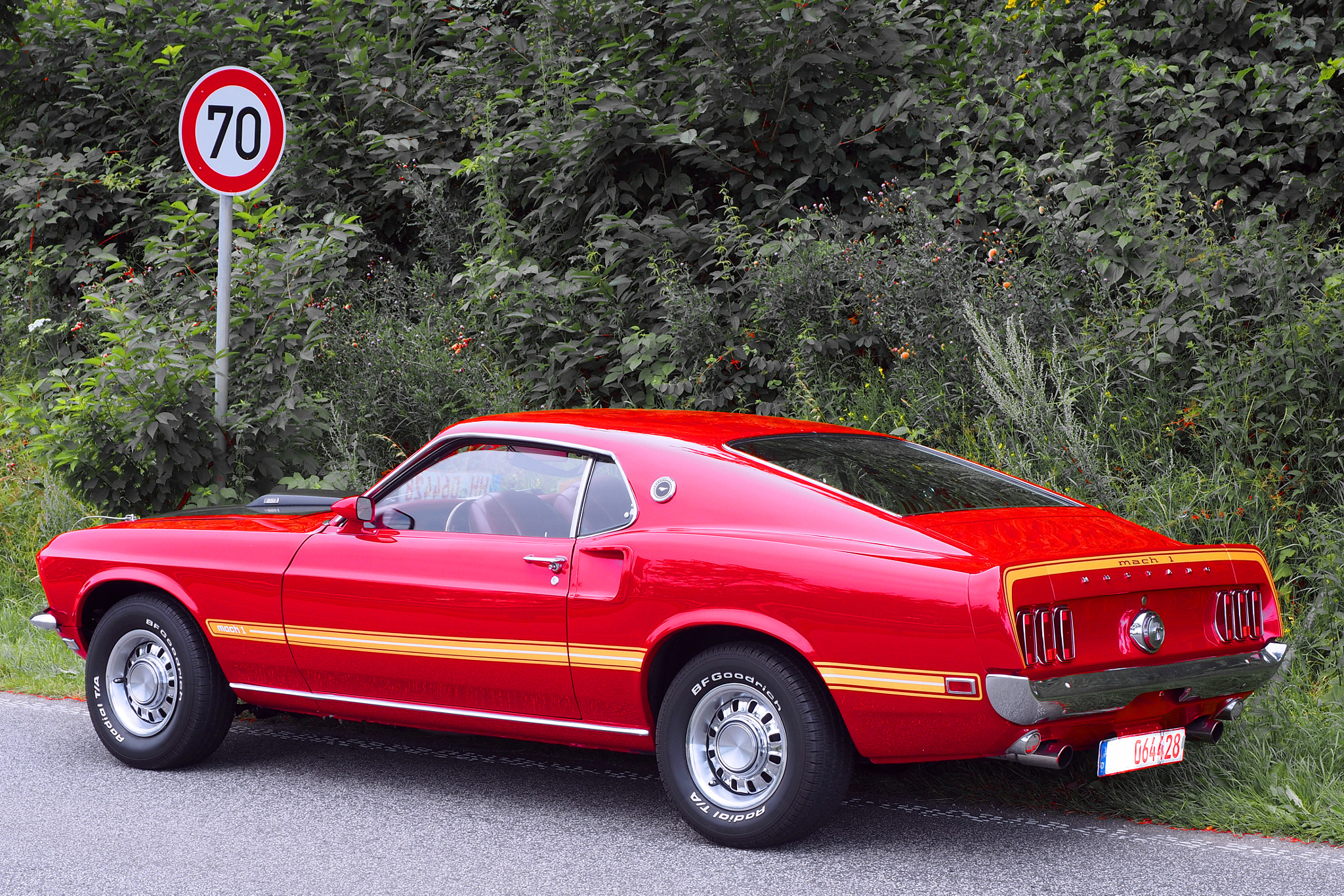 OLYMPUS M.12-50mm F3.5-6.3 sample photo. Mustang -  mach 1 photography