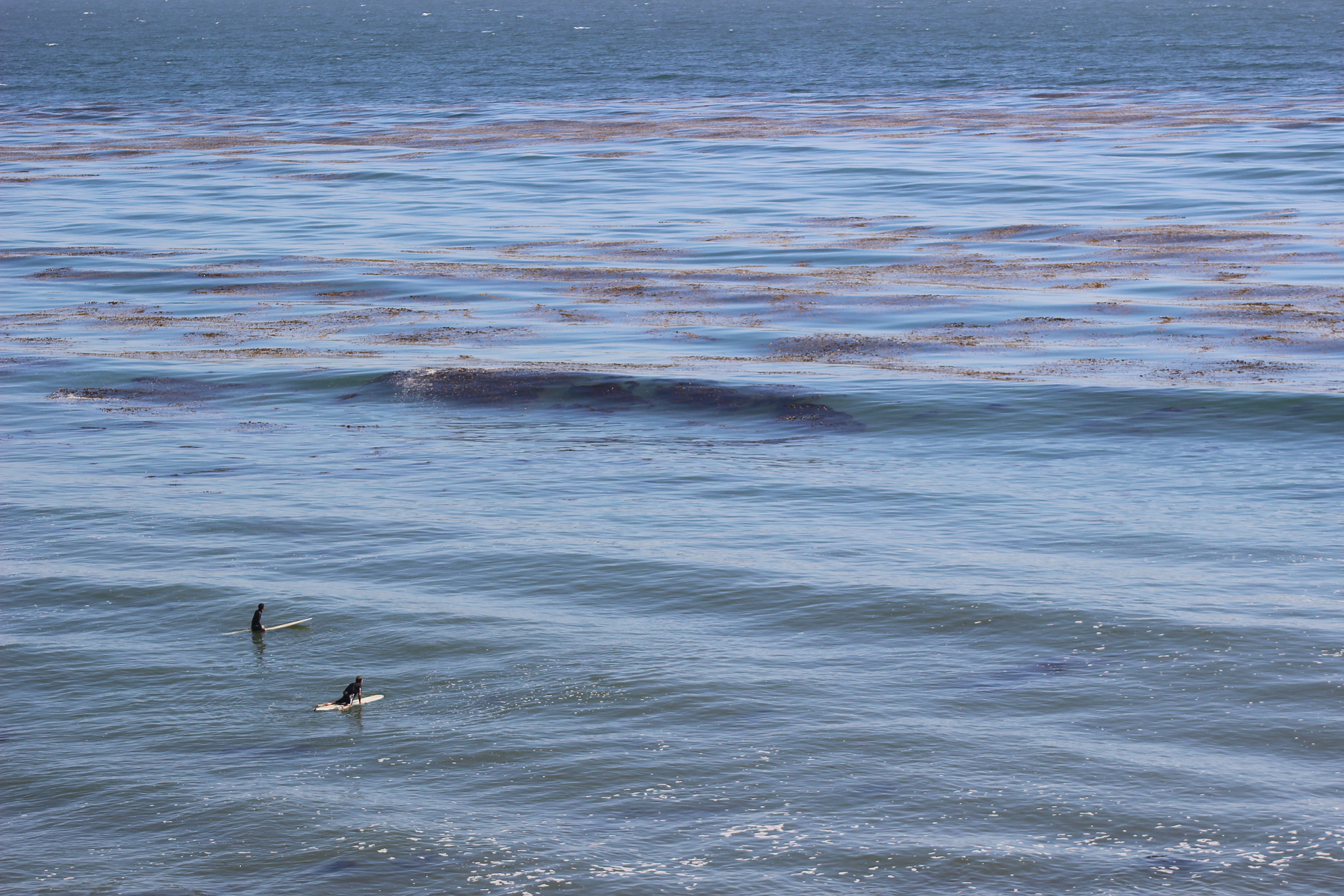 Canon EF 80-200mm F4.5-5.6 II sample photo. Surfing photography