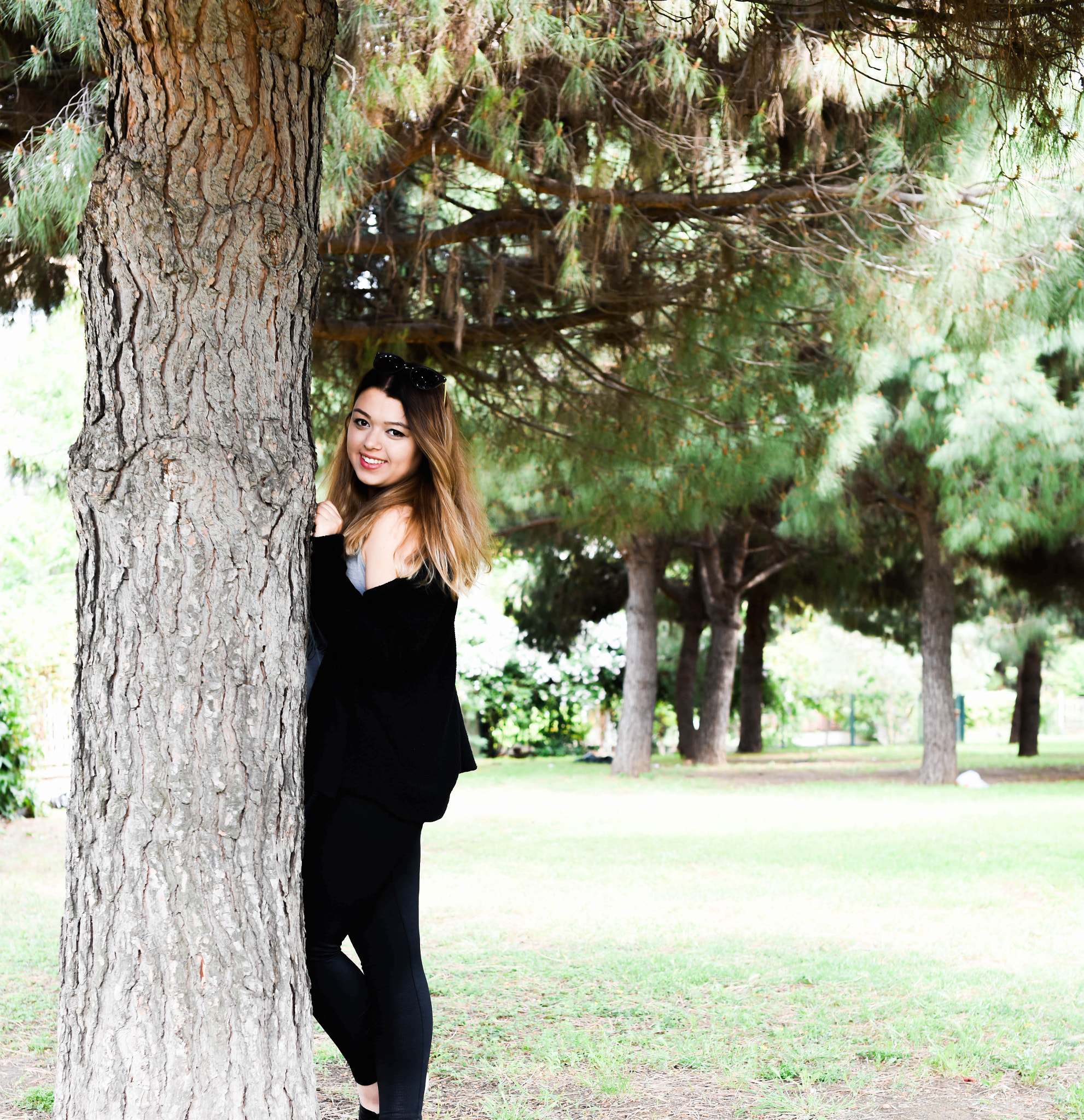 Nikon D810 + Sigma 50mm F1.4 EX DG HSM sample photo. Prensenses meral photography