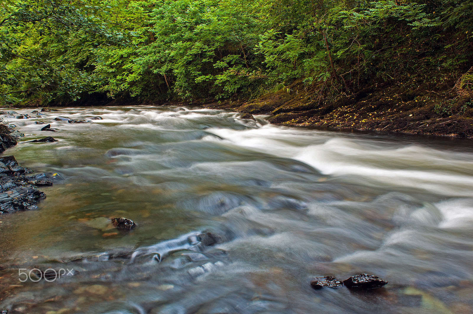 Nikon D2X sample photo. Tavy photography