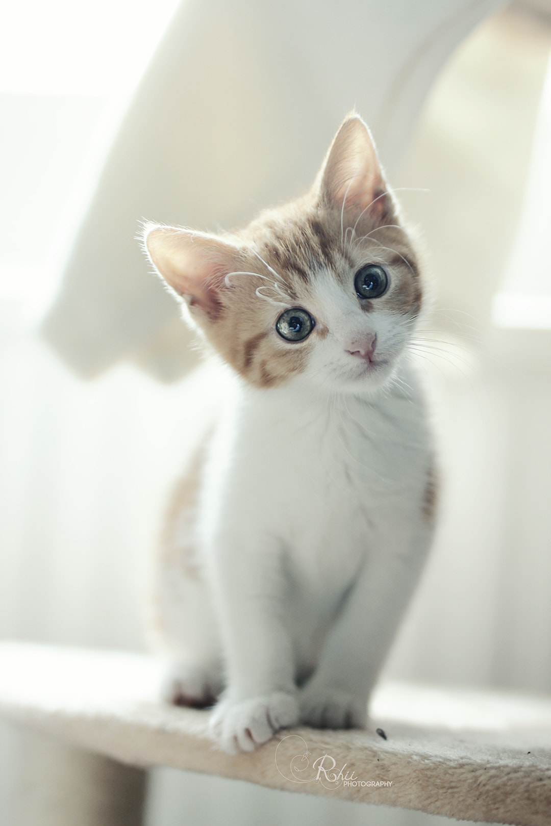 Sigma 50mm F1.4 EX DG HSM sample photo. Pixel photography