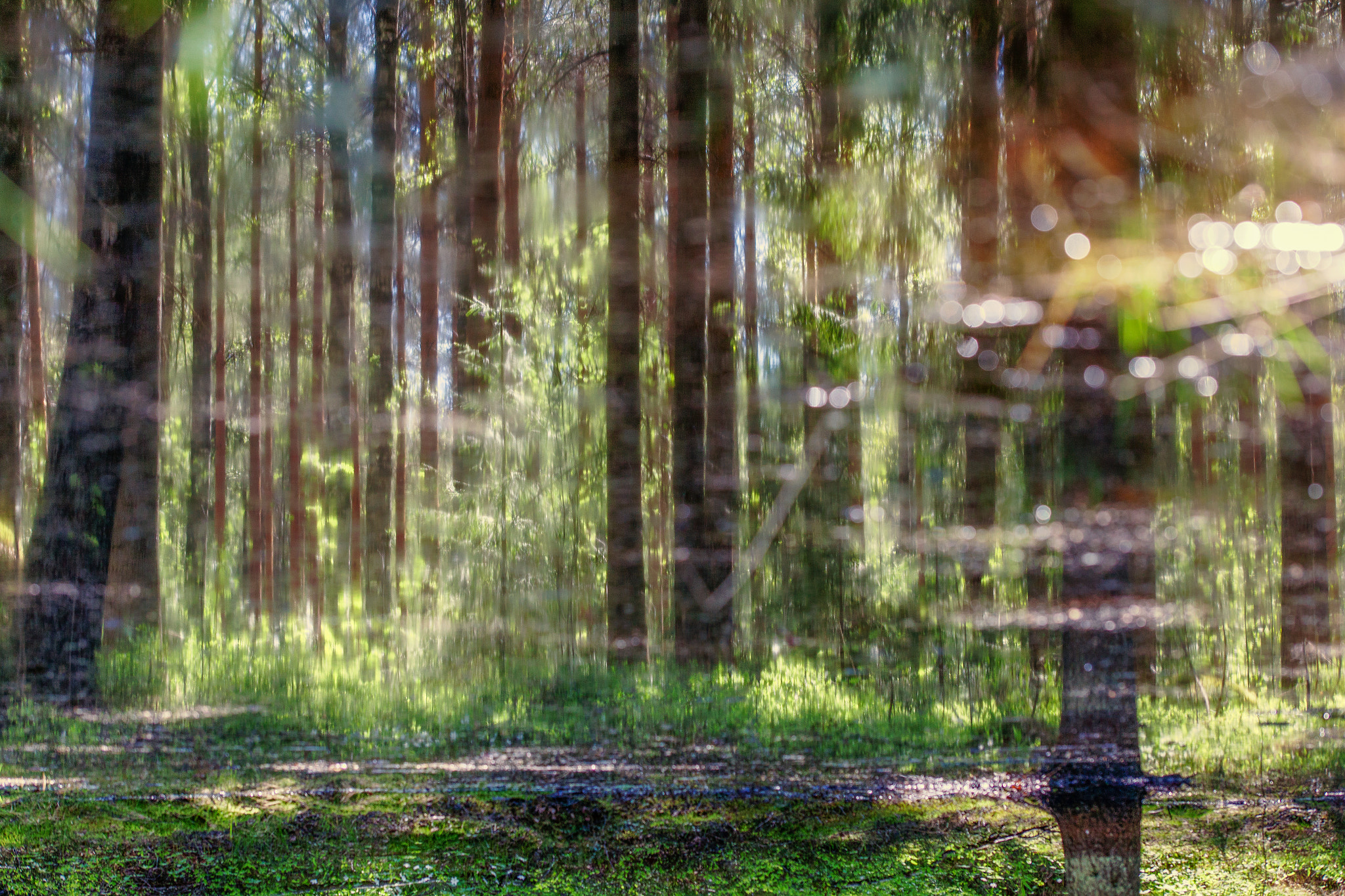 Sigma 105mm F2.8 EX DG OS HSM sample photo. Edit photography