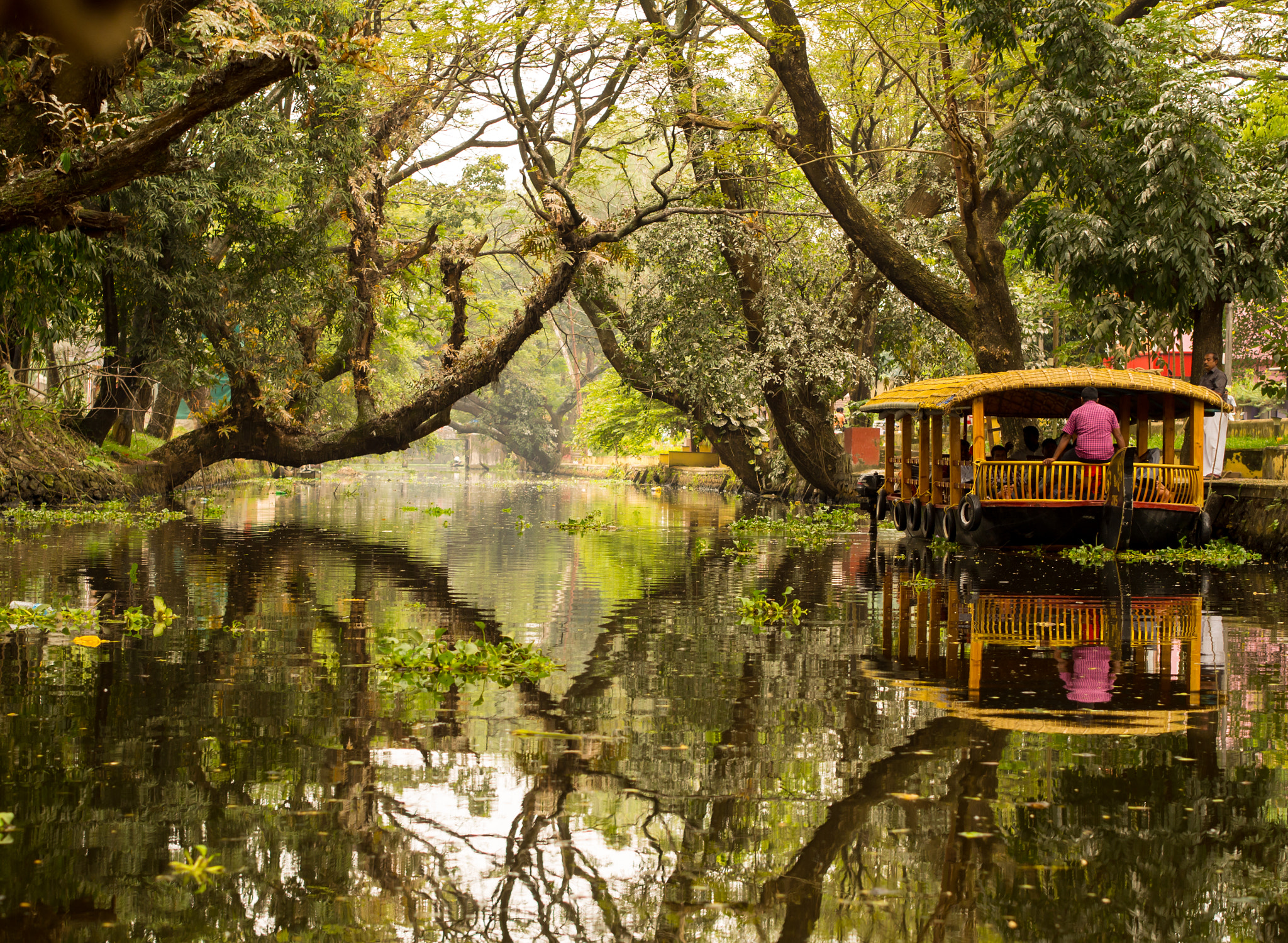 Olympus PEN E-PL6 sample photo. Alleppey, india photography