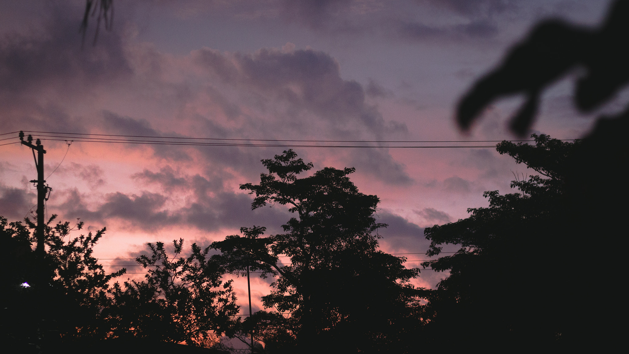 Canon EOS 1200D (EOS Rebel T5 / EOS Kiss X70 / EOS Hi) + Canon EF 50mm F1.8 II sample photo. Morning photography