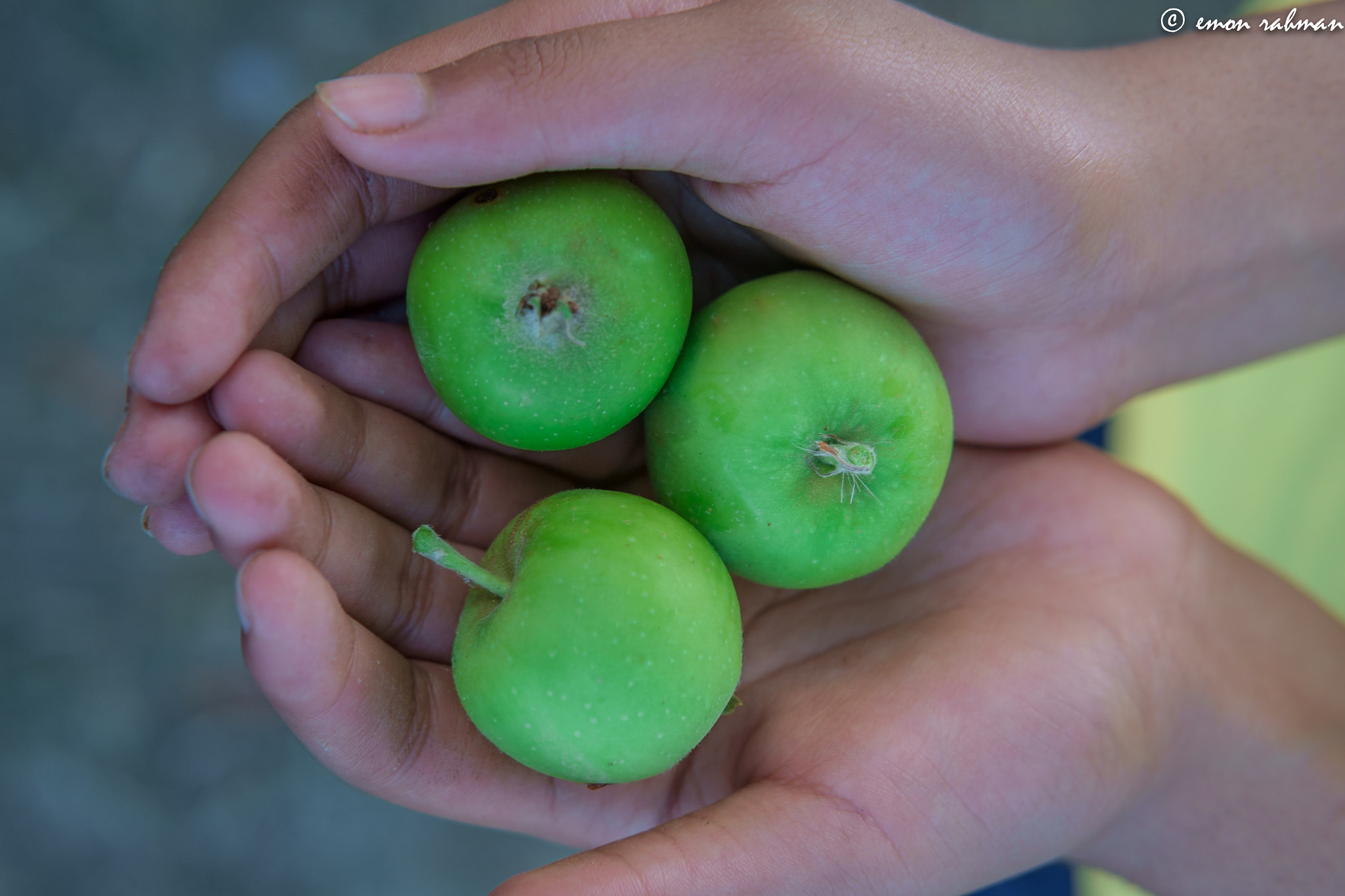 Fujifilm X-E1 + Fujifilm XF 35mm F2 R WR sample photo. Baby apple photography