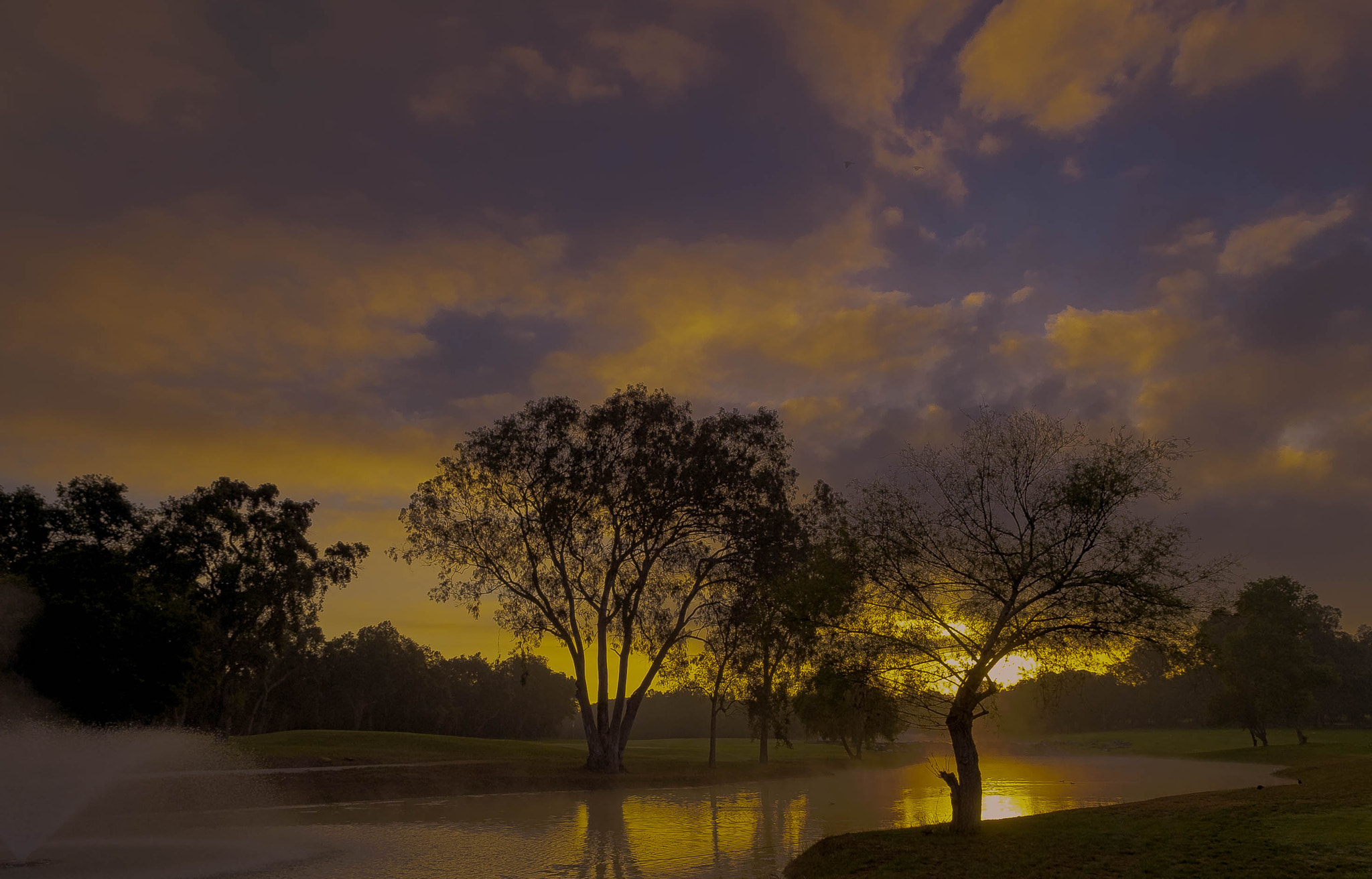 Nikon D4S sample photo. Royal golf dar essalam photography