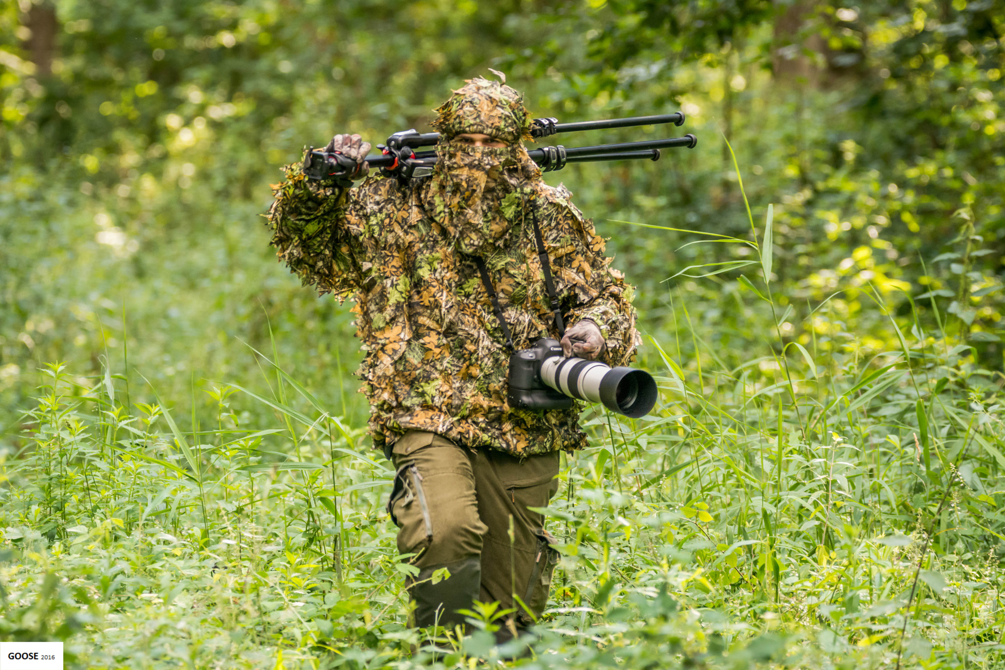 Sigma 150-600mm F5-6.3 DG OS HSM | C sample photo. In action photography