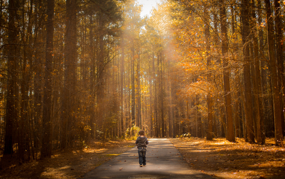 Canon EF 35mm F1.4L USM sample photo. Dreamer photography