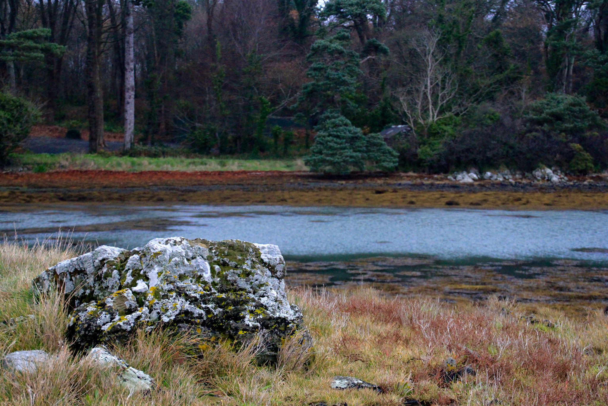 Sigma 18-125mm F3.8-5.6 DC OS HSM sample photo. The rock photography