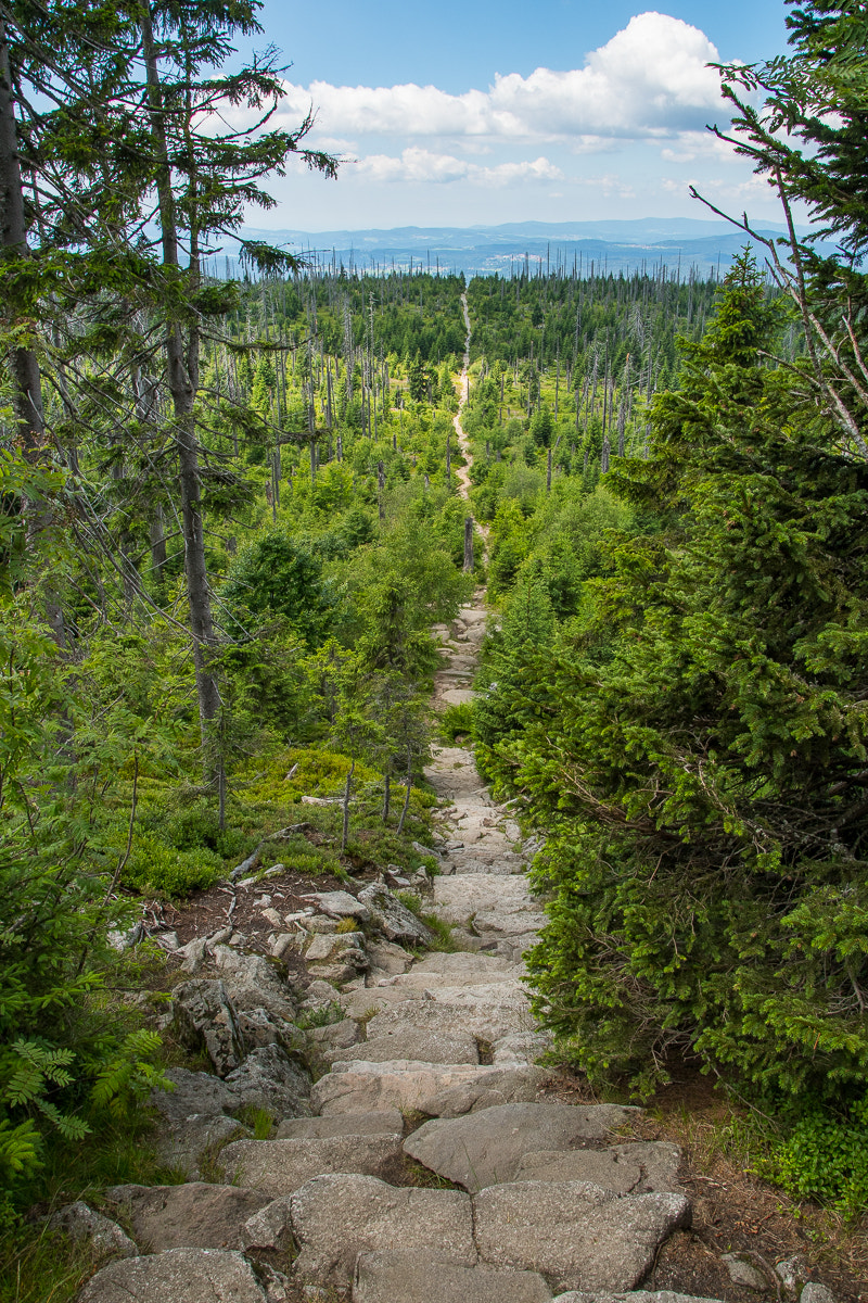 Nikon D500 sample photo. Way to heaven photography