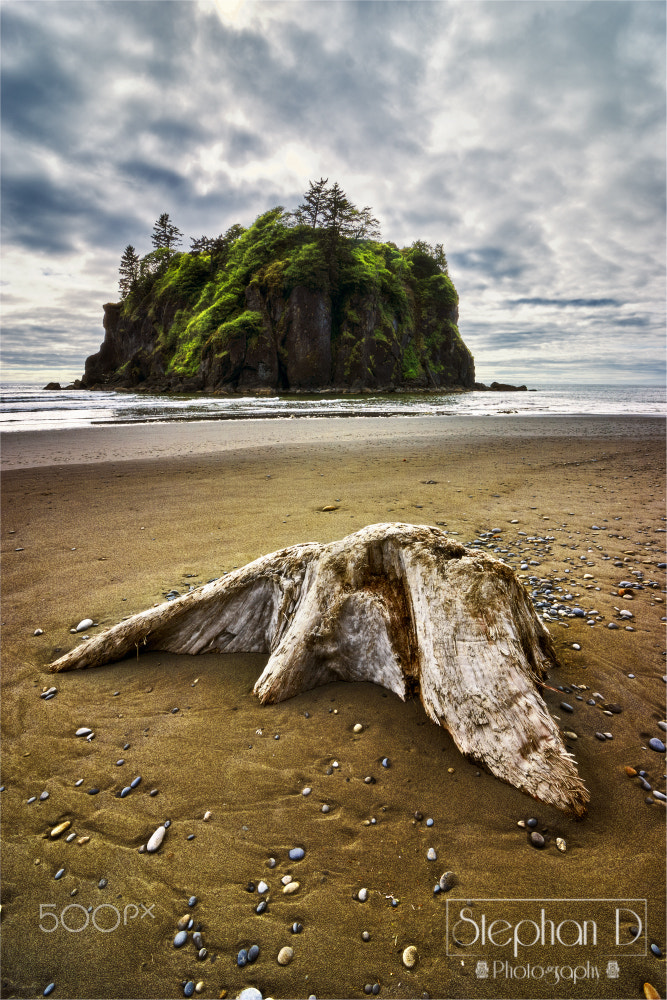 Sony SLT-A77 + 20mm F2.8 sample photo. Abbey island photography