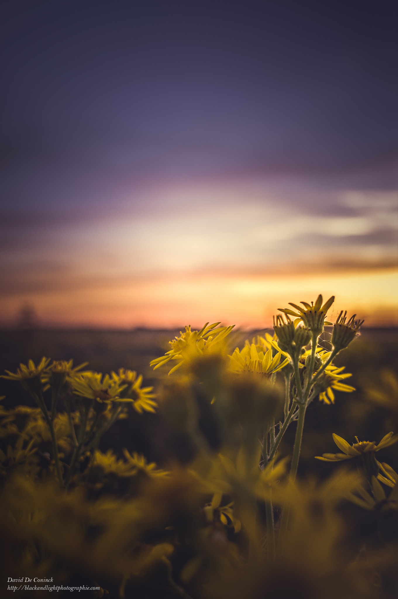 Pentax K-3 sample photo. Sunset over the airport photography