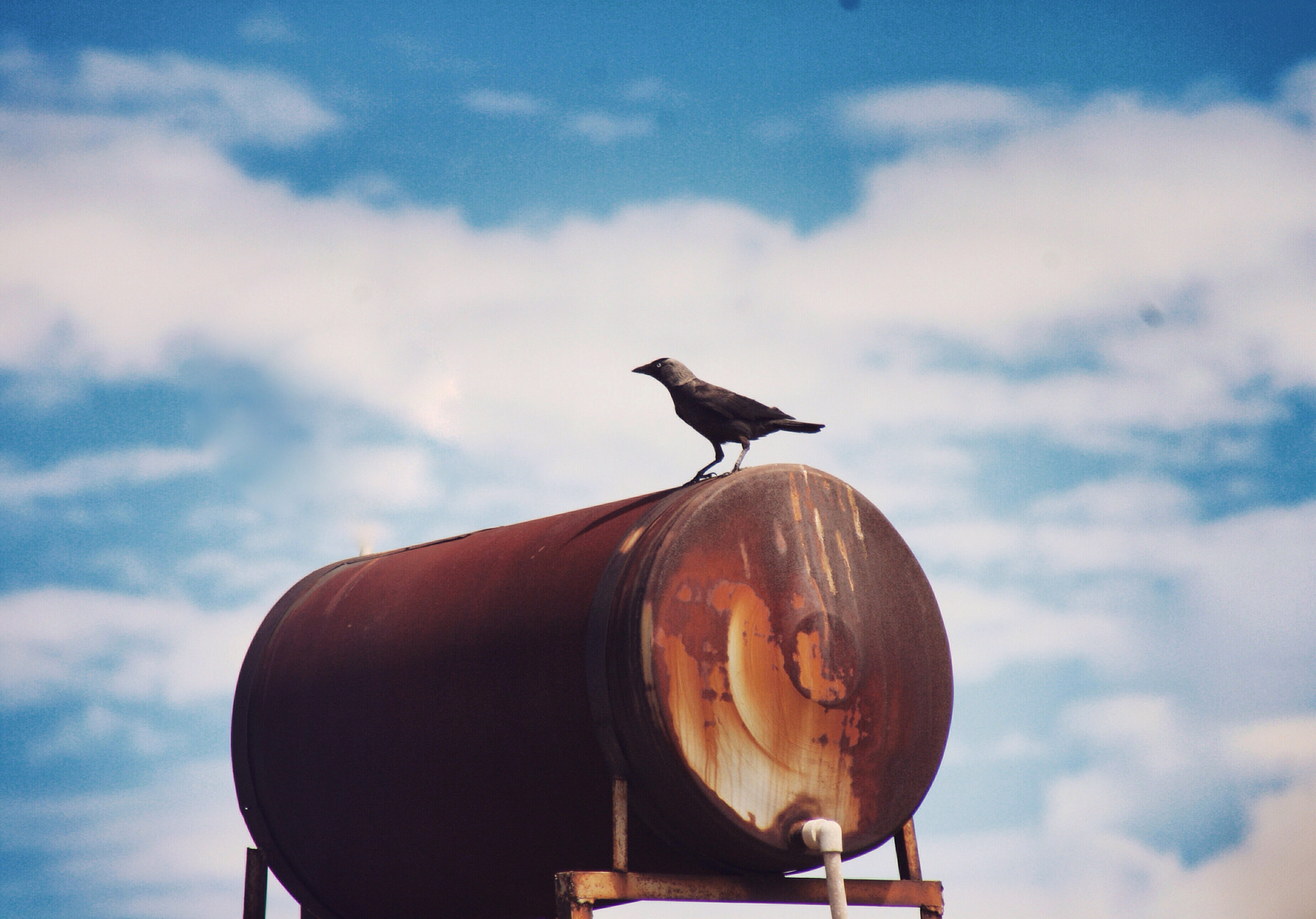 Canon EF75-300mm f/4-5.6 sample photo. Ufak bir mola.. photography