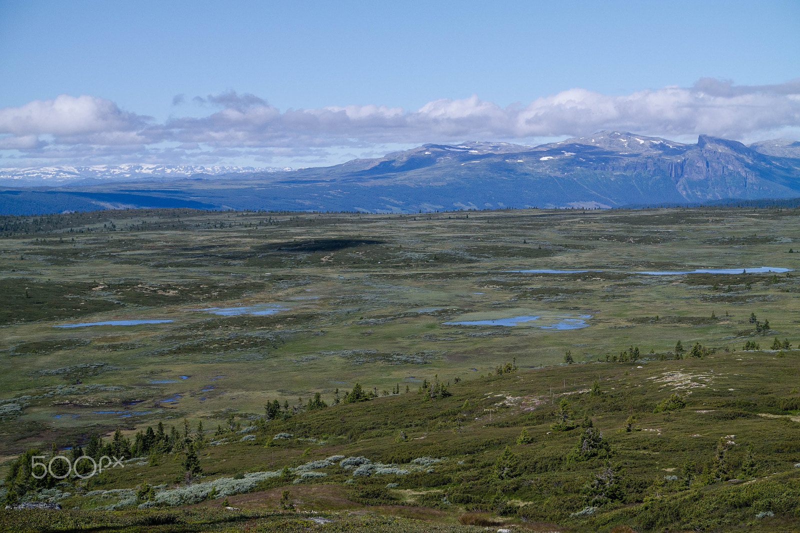 Samsung NX300M sample photo. Golsfjellet photography