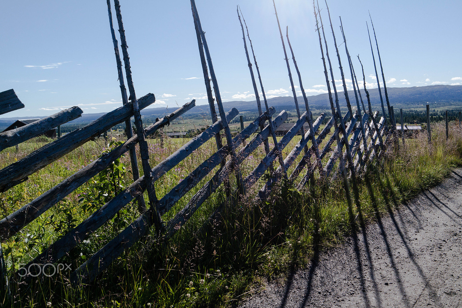 Samsung NX300M sample photo. Norwegerzaun photography