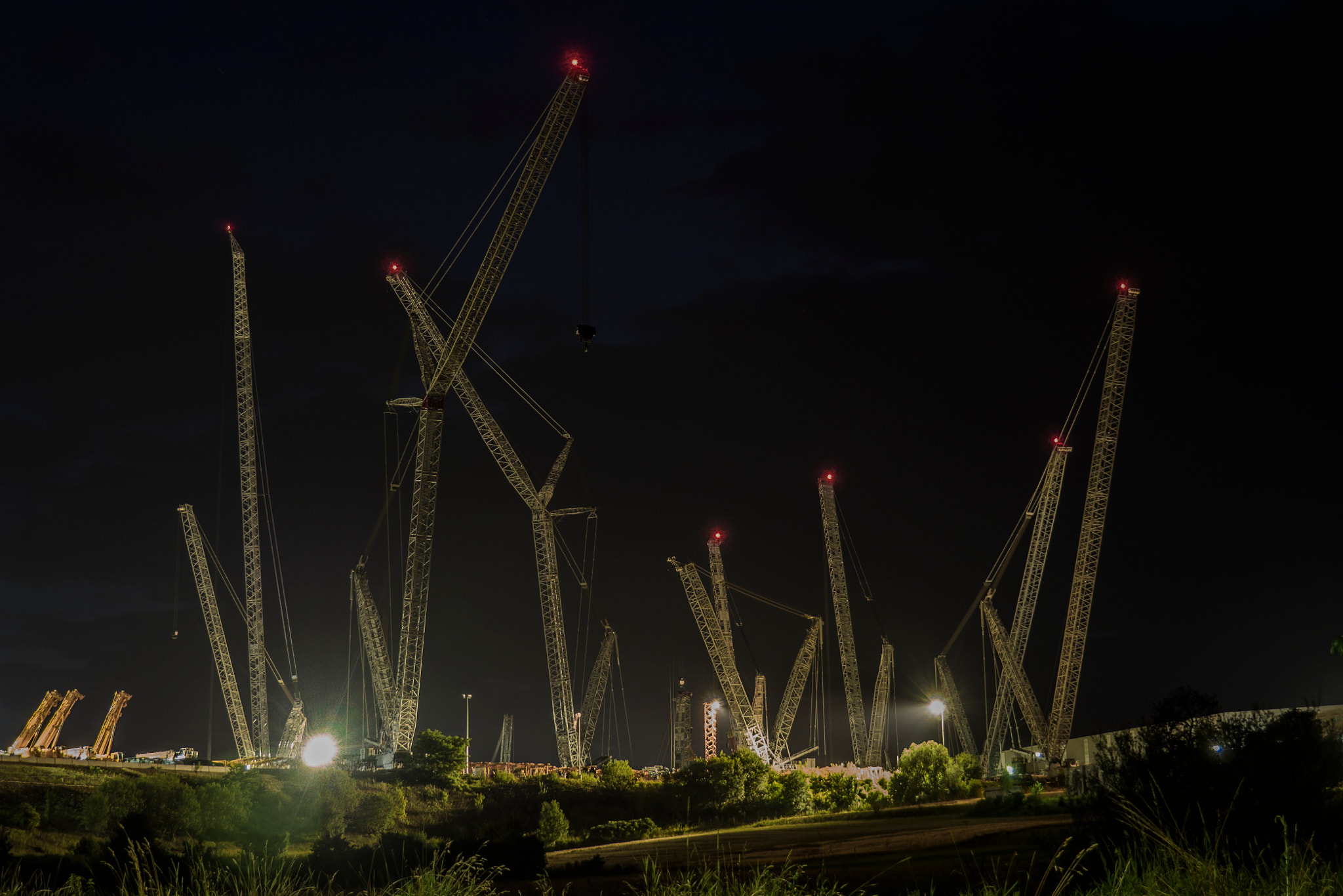 OLYMPUS M.14-150mm F4.0-5.6 II sample photo. Cranes photography