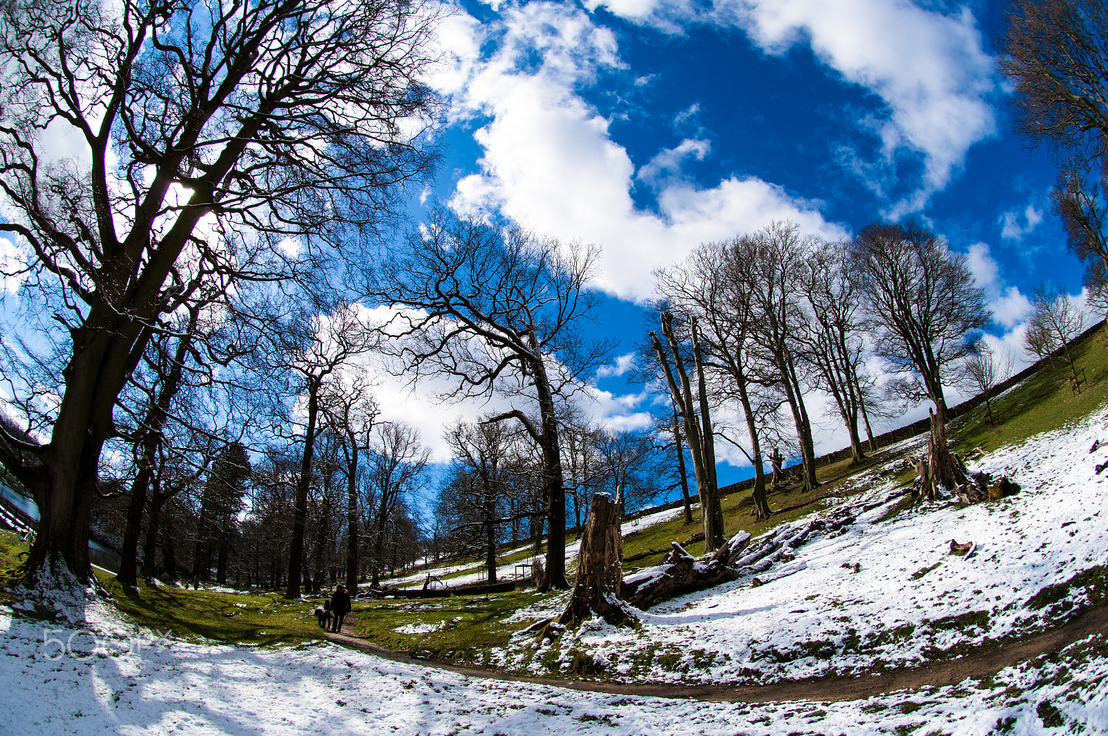 Nikon D2X sample photo. Snow in spring photography